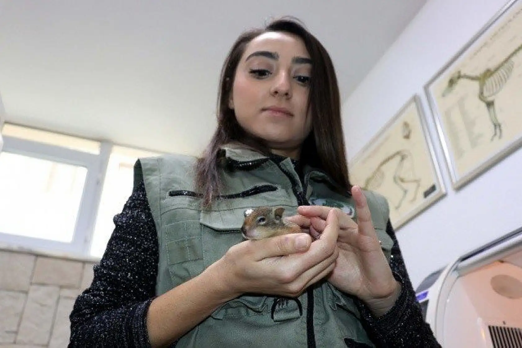 Sincap yavrularına &quotbebek" gibi bakıyorlar