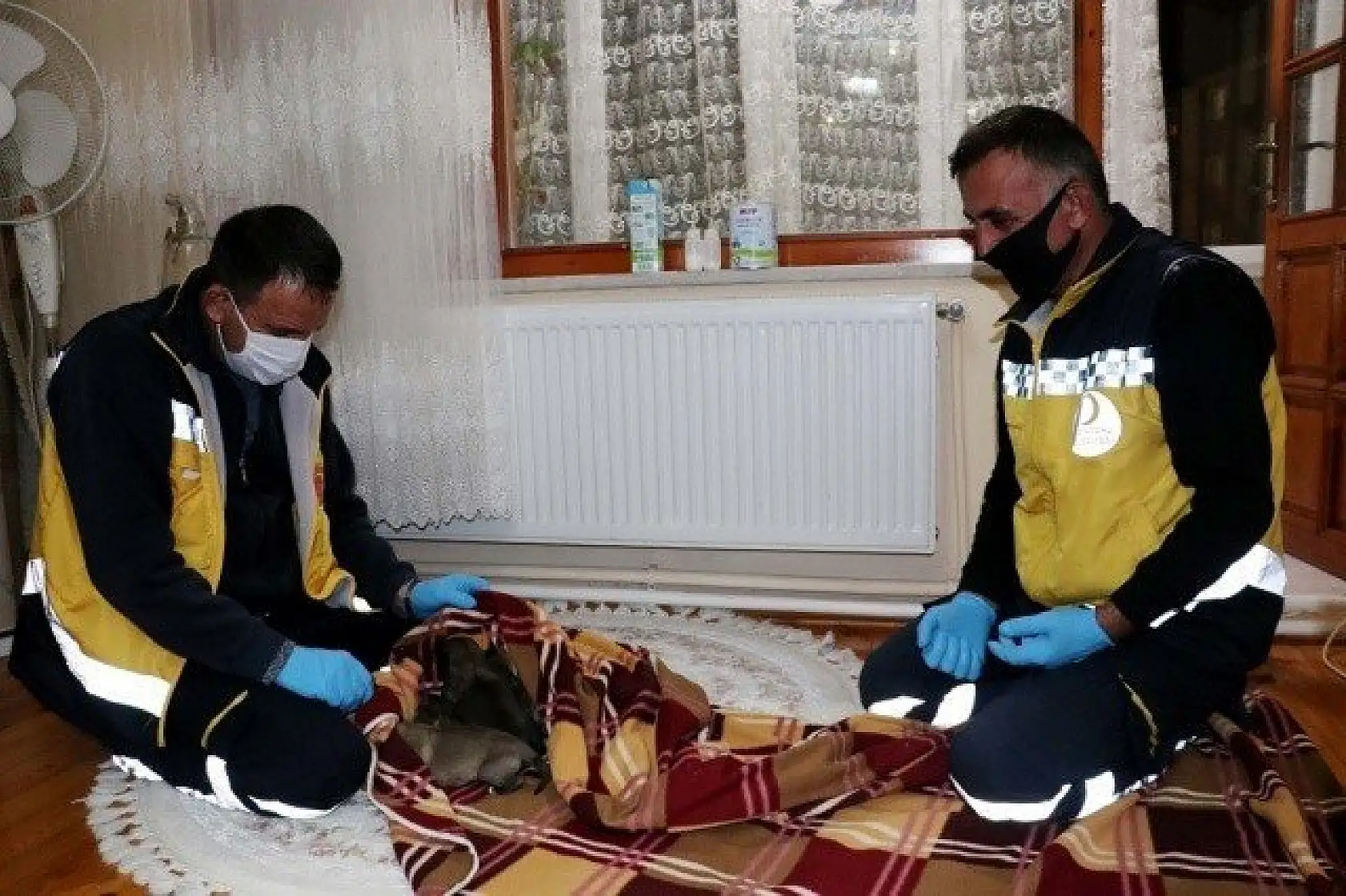 Yeni doğmuş köpek yavrularına evinde &quotbebek" gibi bakıyor