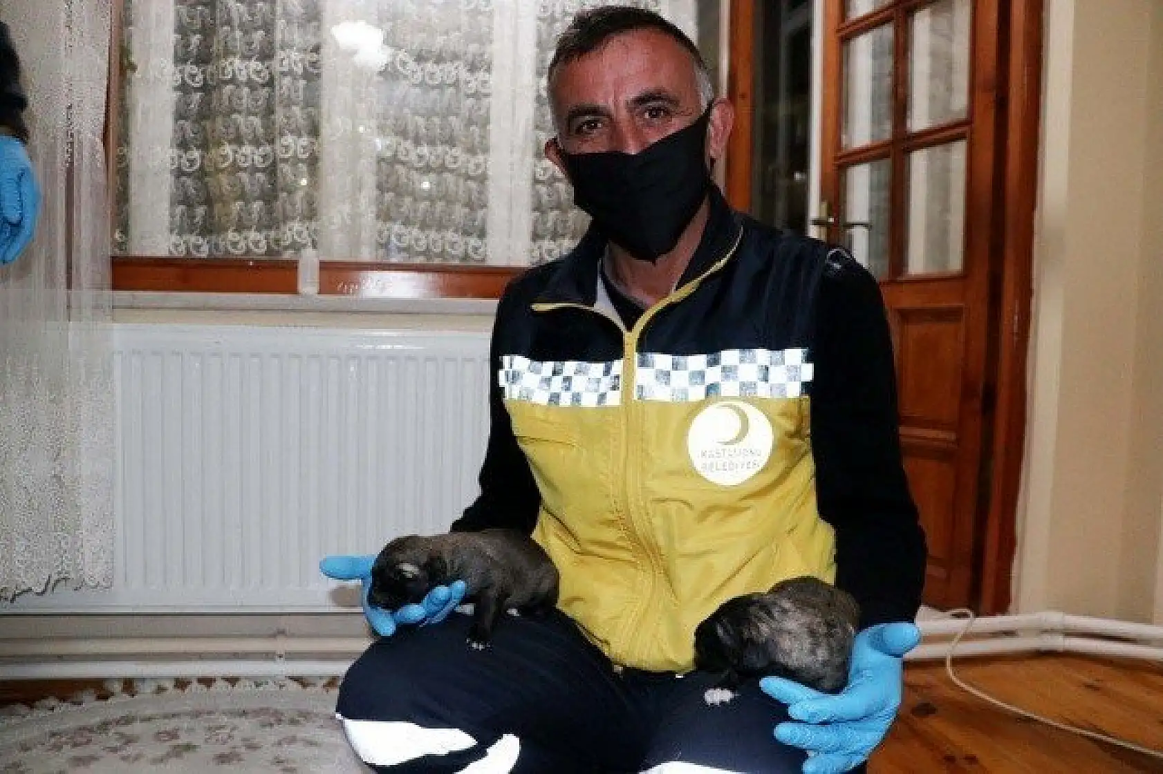 Yeni doğmuş köpek yavrularına evinde &quotbebek" gibi bakıyor