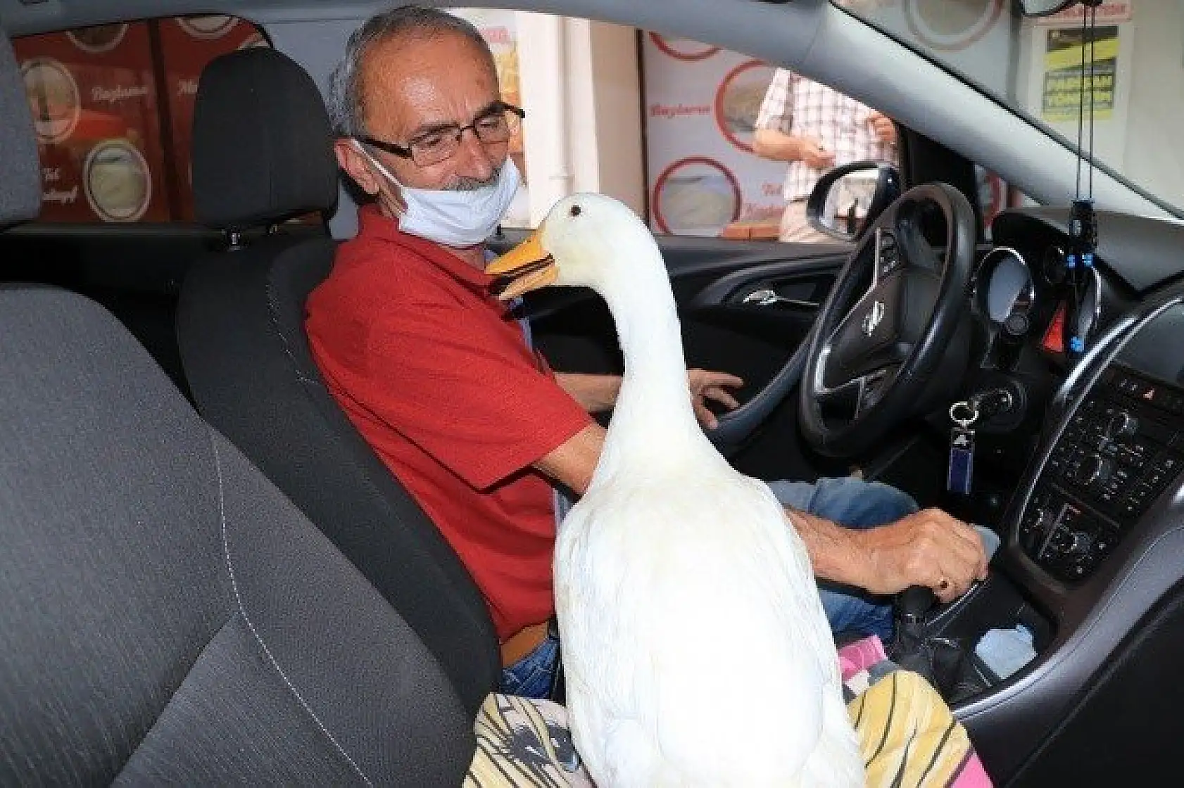 En yakın arkadaşı, ördeği &quotPamuk"