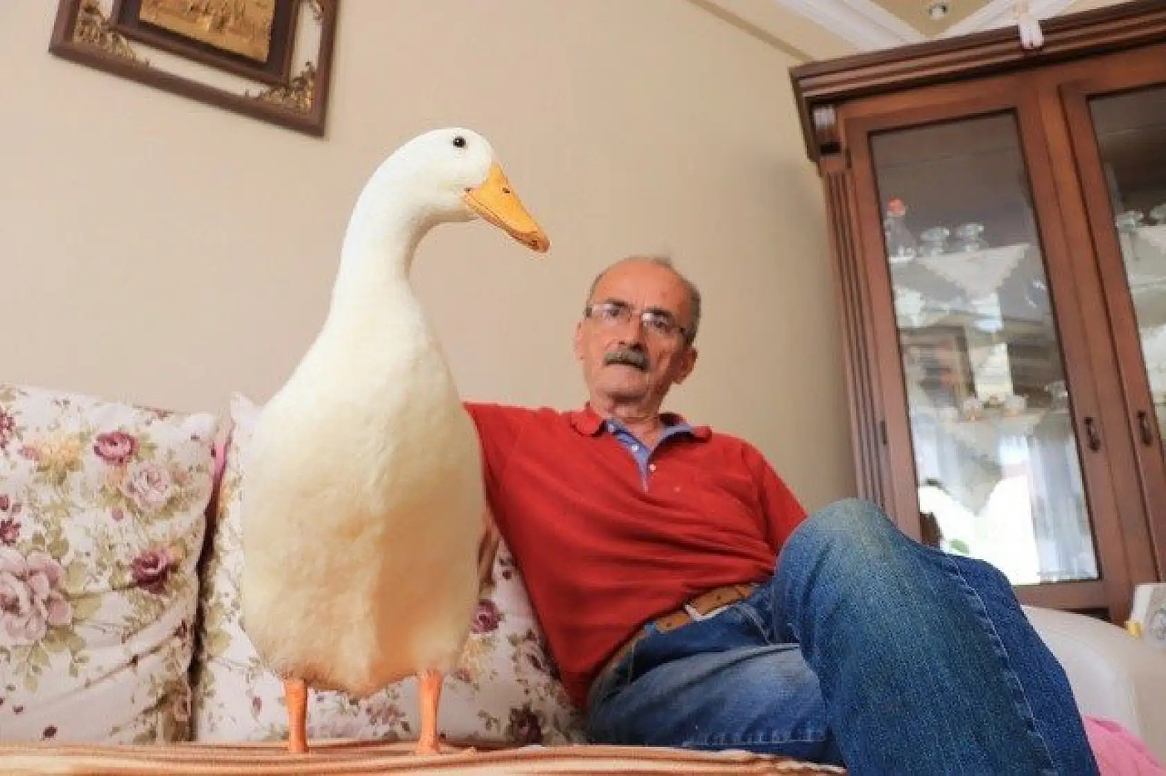 En yakın arkadaşı, ördeği &quotPamuk"