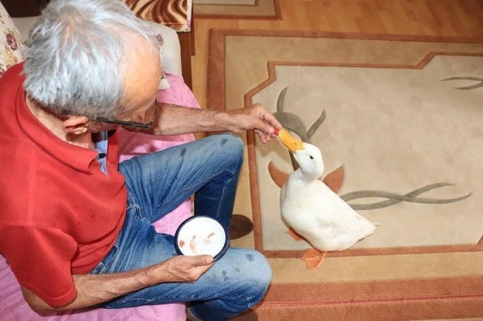 En yakın arkadaşı, ördeği &quotPamuk"