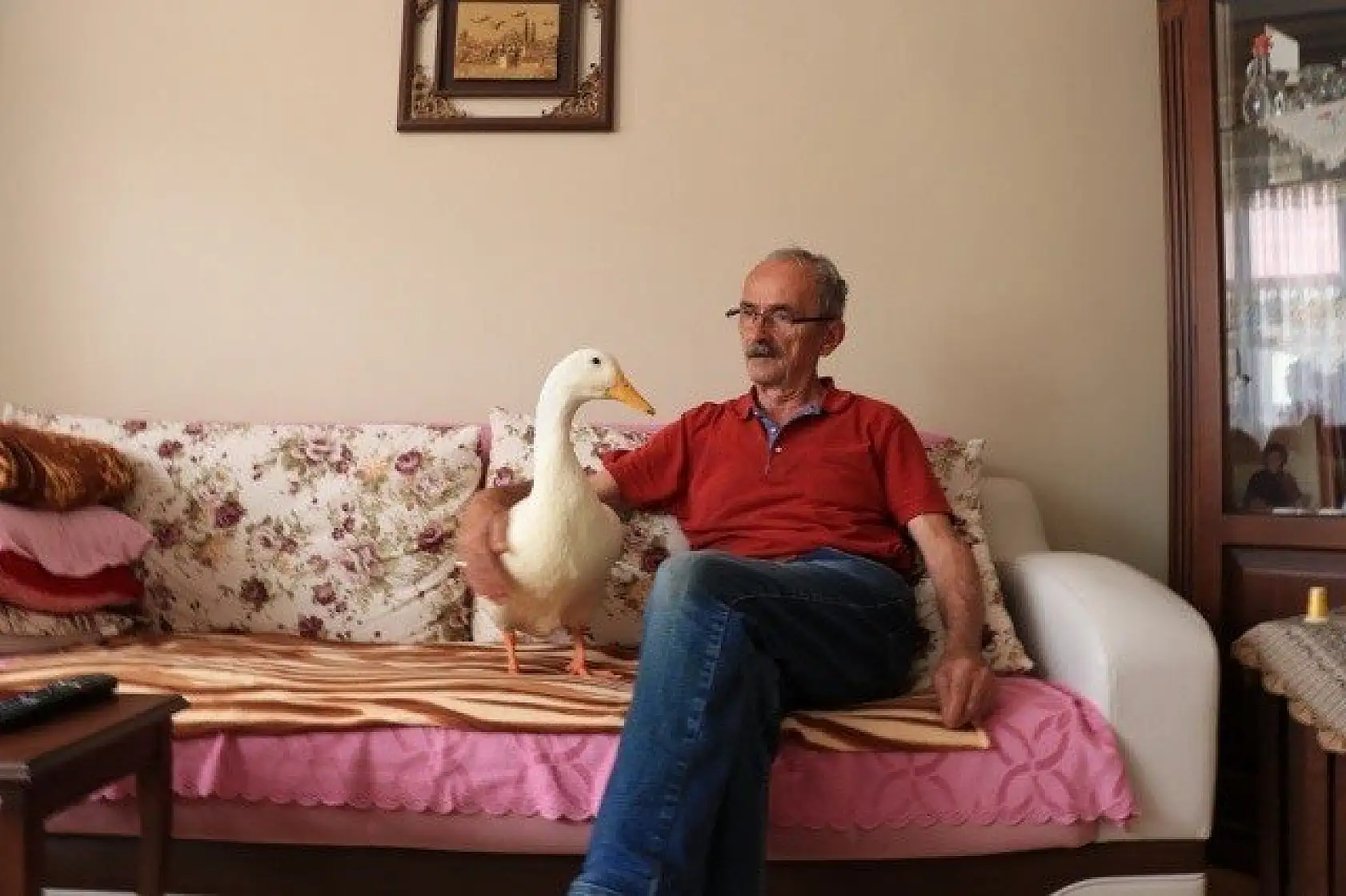 En yakın arkadaşı, ördeği &quotPamuk"