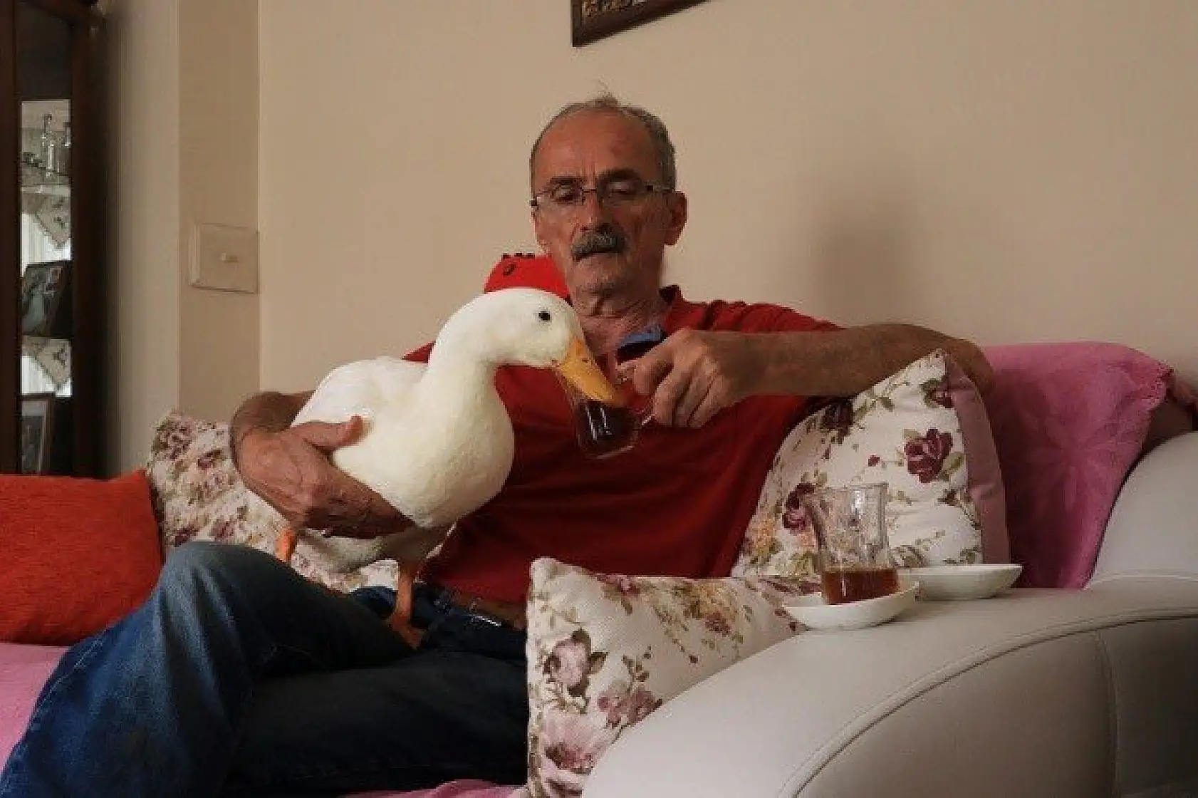 En yakın arkadaşı, ördeği &quotPamuk"