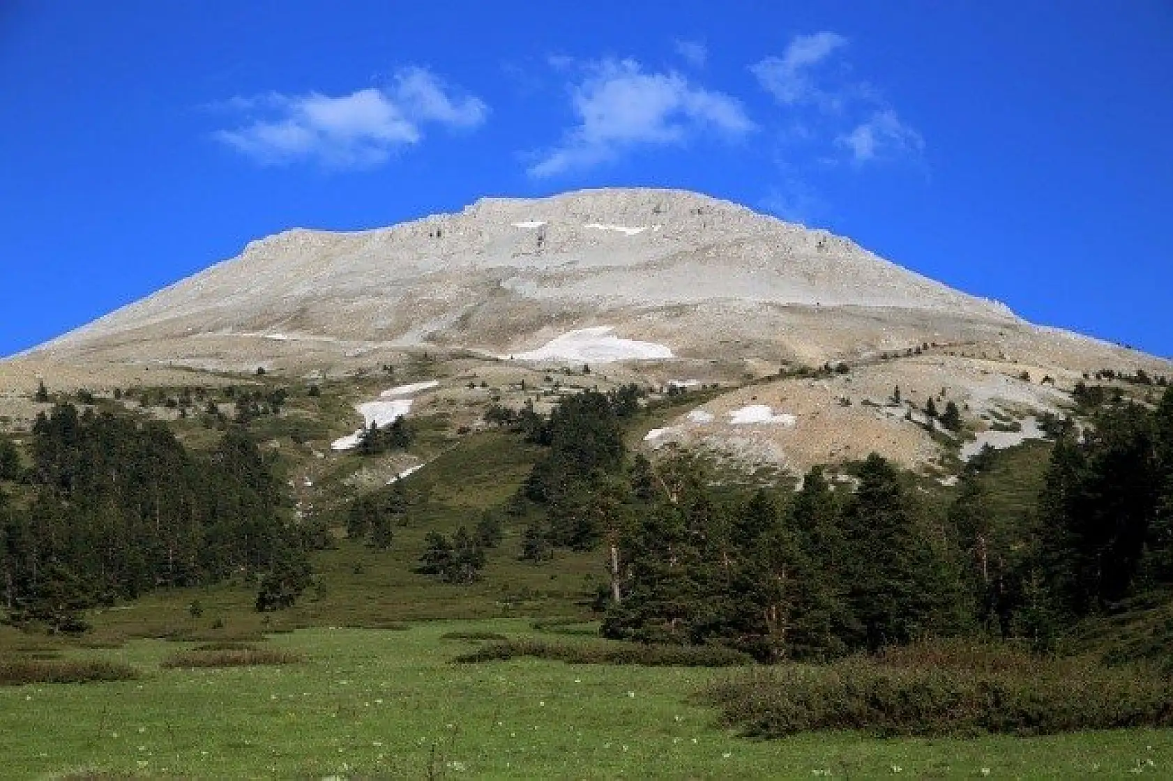 Ilgaz Dağı'nın zirvesinde çiçekler yeni açıyor