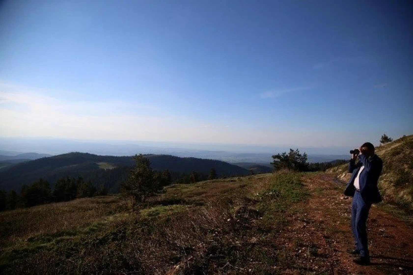 Ilgaz Dağı'nın zirvesinde çiçekler yeni açıyor