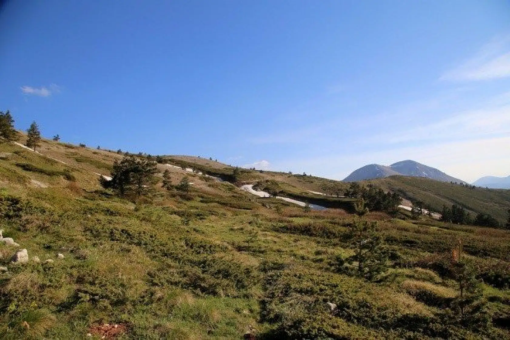 Ilgaz Dağı'nın zirvesinde çiçekler yeni açıyor