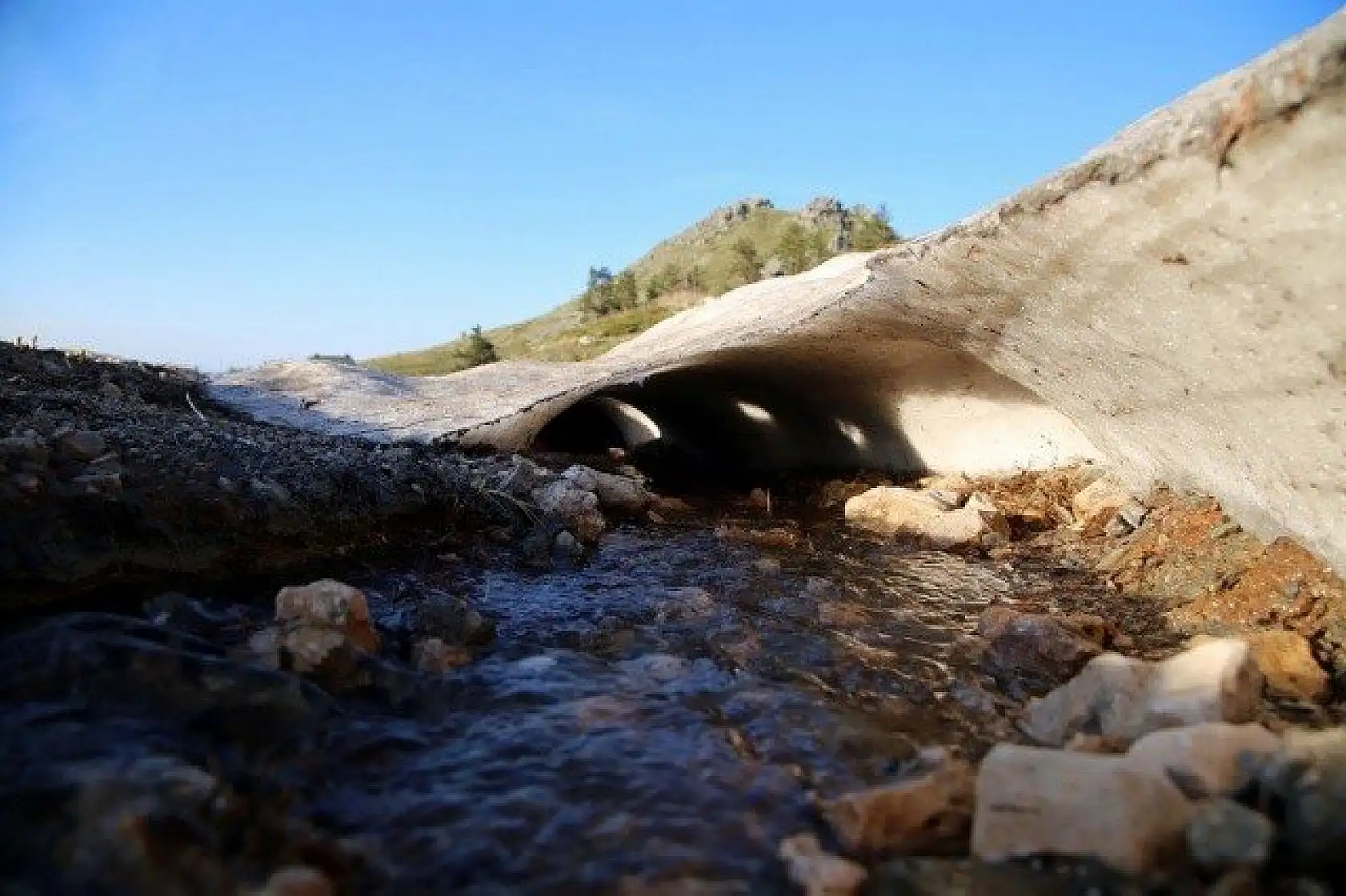 Ilgaz Dağı'nın zirvesinde çiçekler yeni açıyor