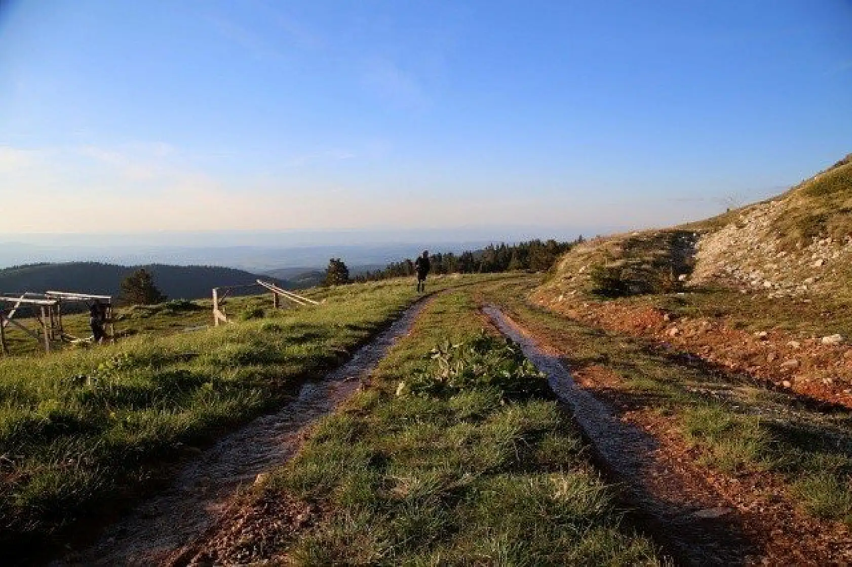 Ilgaz Dağı'nın zirvesinde çiçekler yeni açıyor