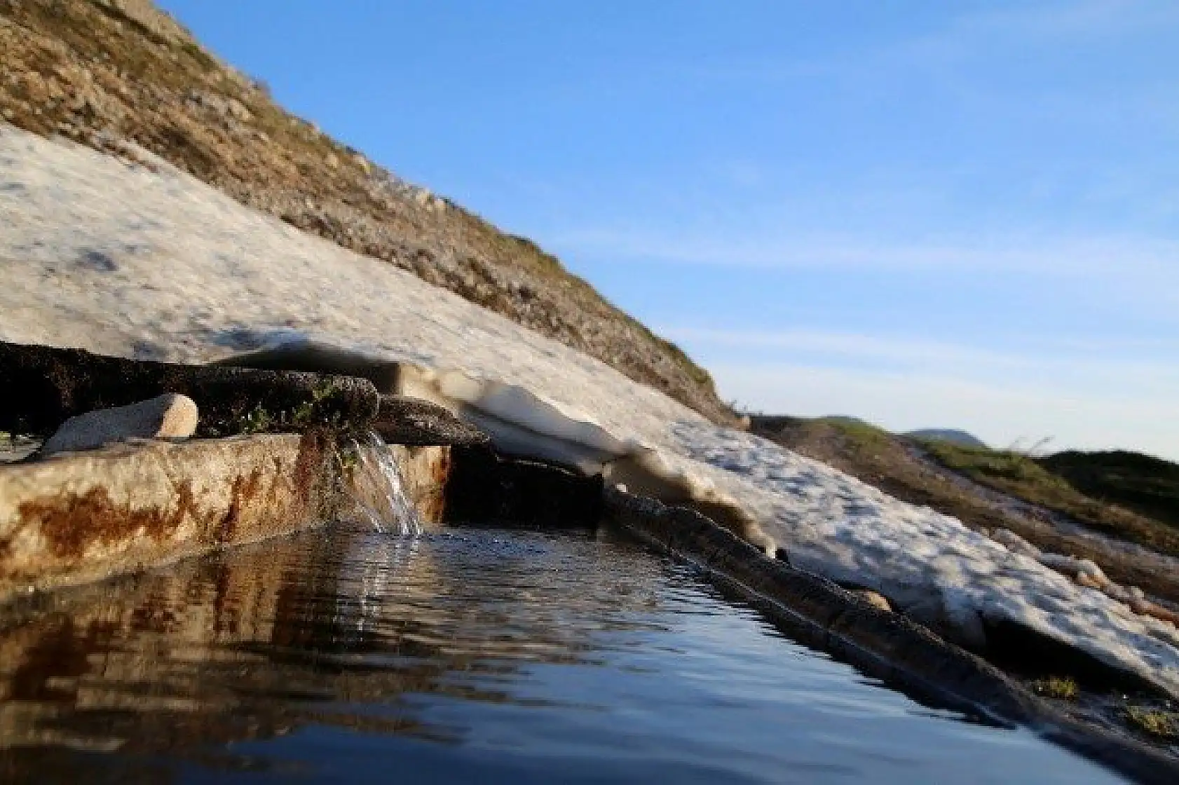 Ilgaz Dağı'nın zirvesinde çiçekler yeni açıyor