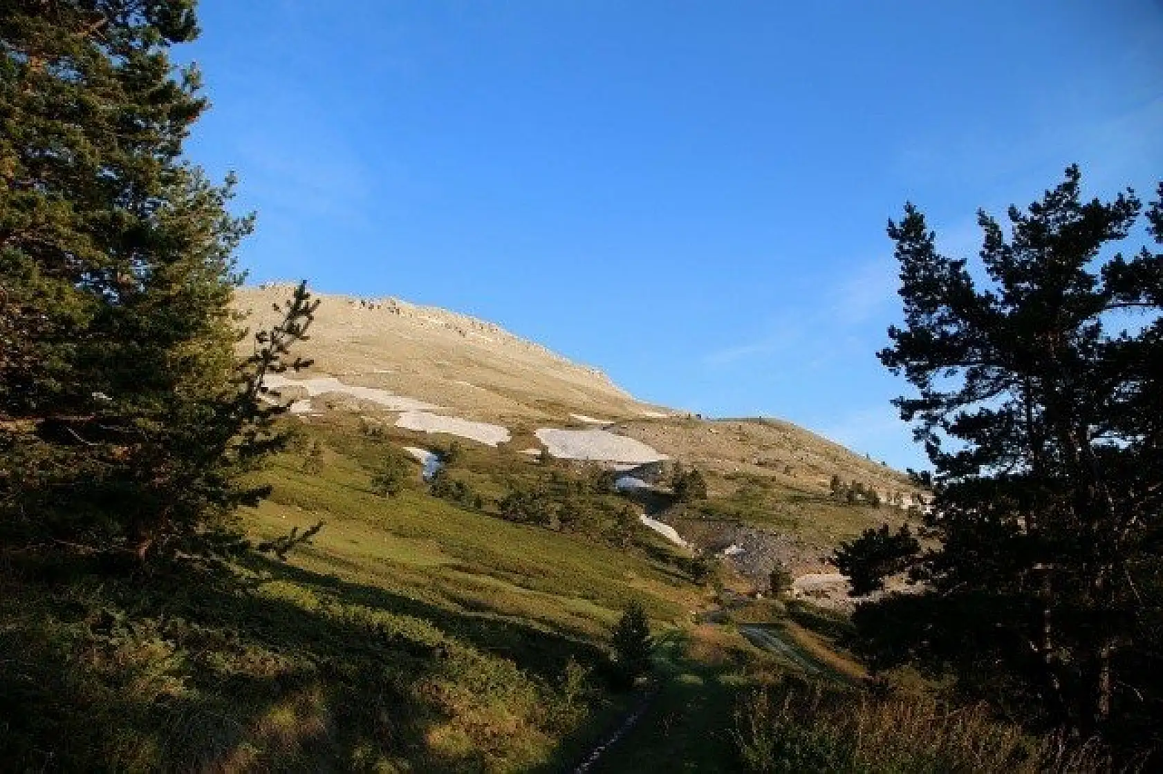 Ilgaz Dağı'nın zirvesinde çiçekler yeni açıyor