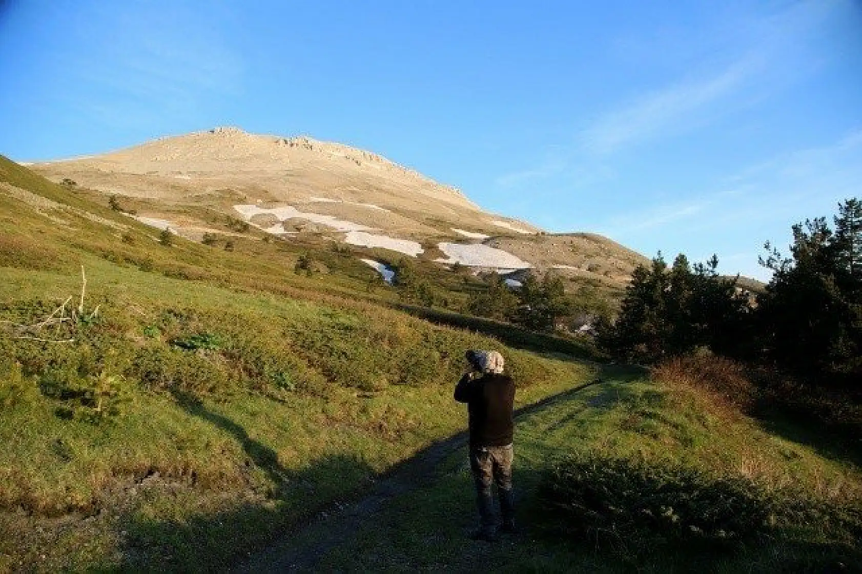 Ilgaz Dağı'nın zirvesinde çiçekler yeni açıyor