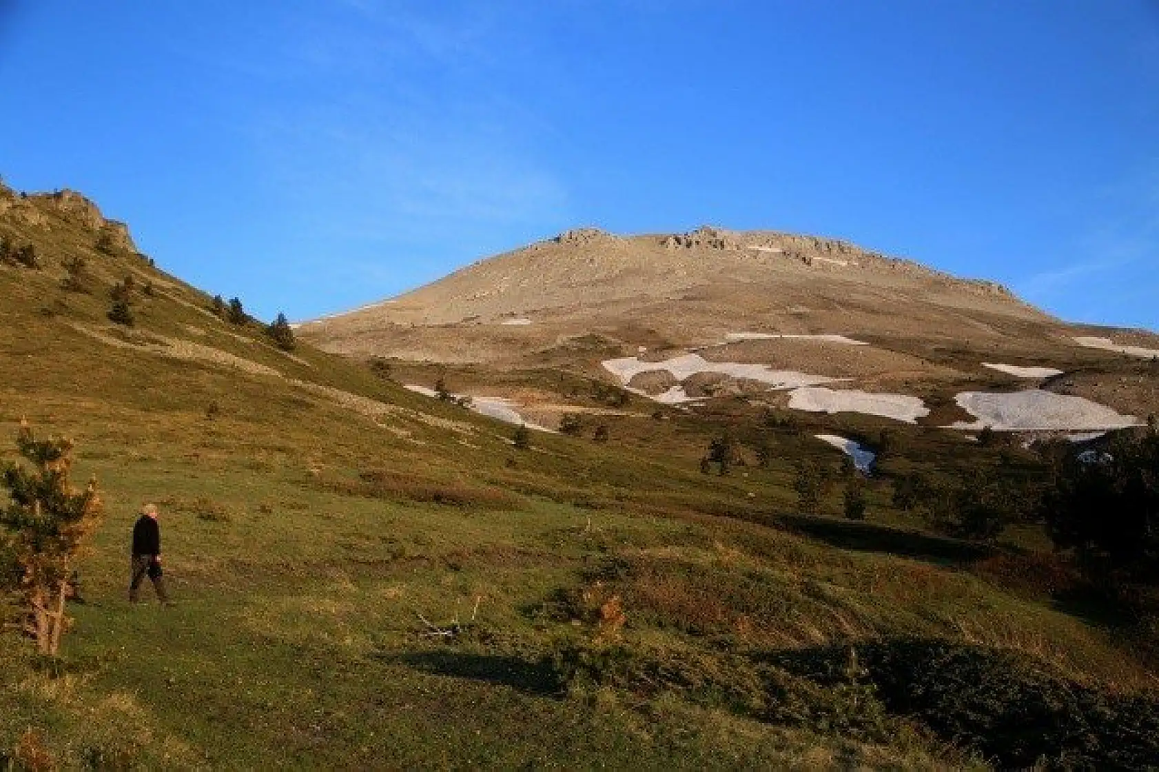 Ilgaz Dağı'nın zirvesinde çiçekler yeni açıyor
