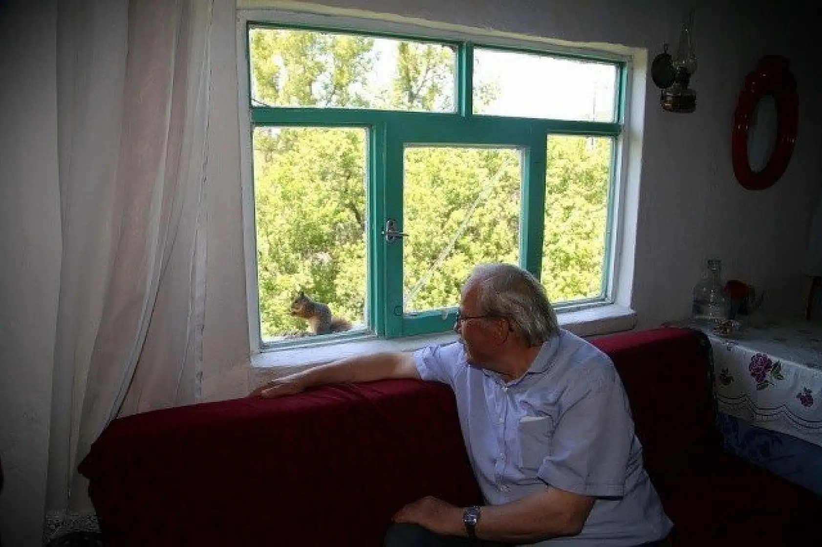 &quotKüçük sevimli misafirleri" evinin penceresinde ağırlıyor