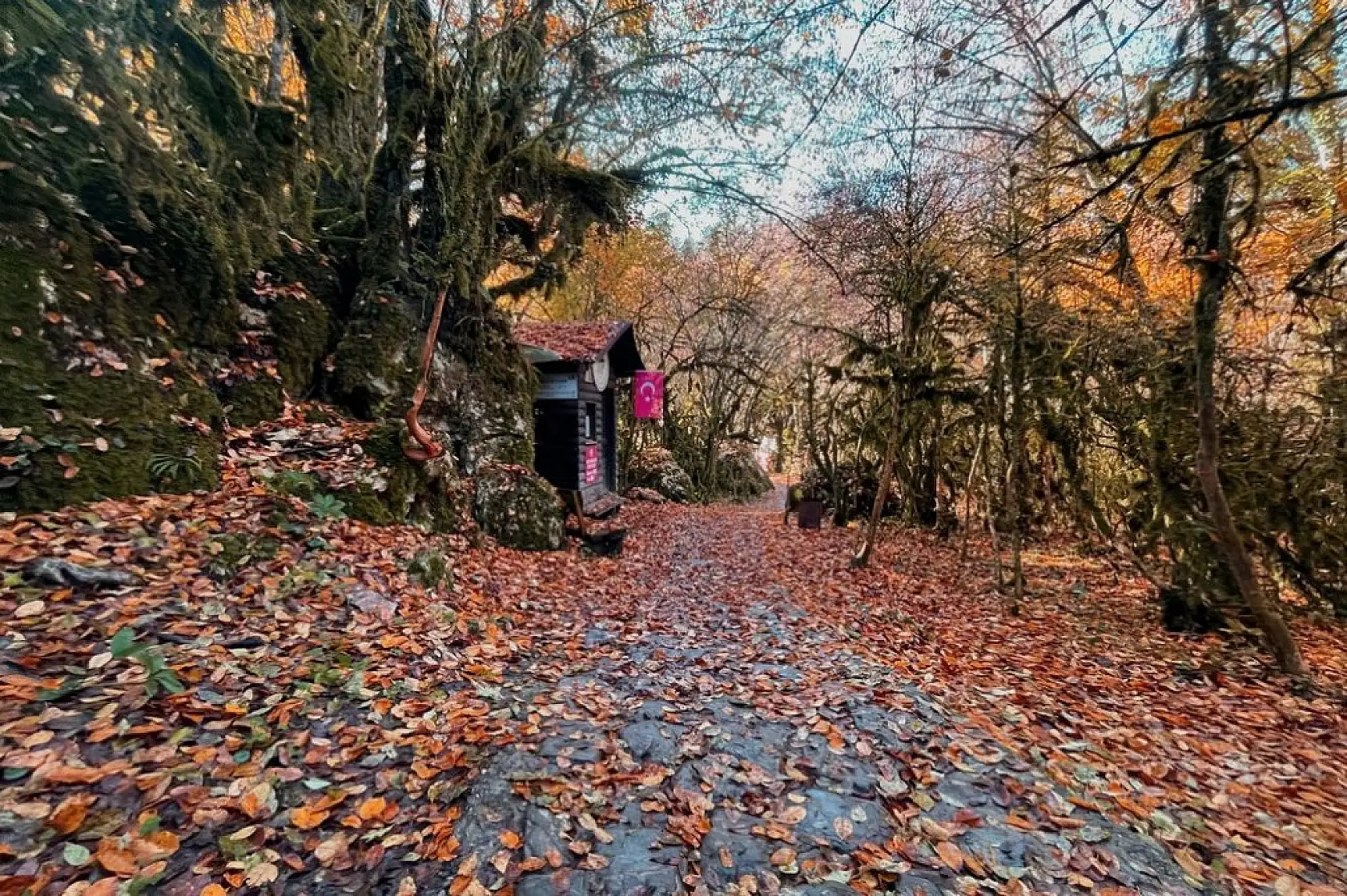 Horma Kanyonu ve Ilıca Şelalesi'nde sonbahar renkleri