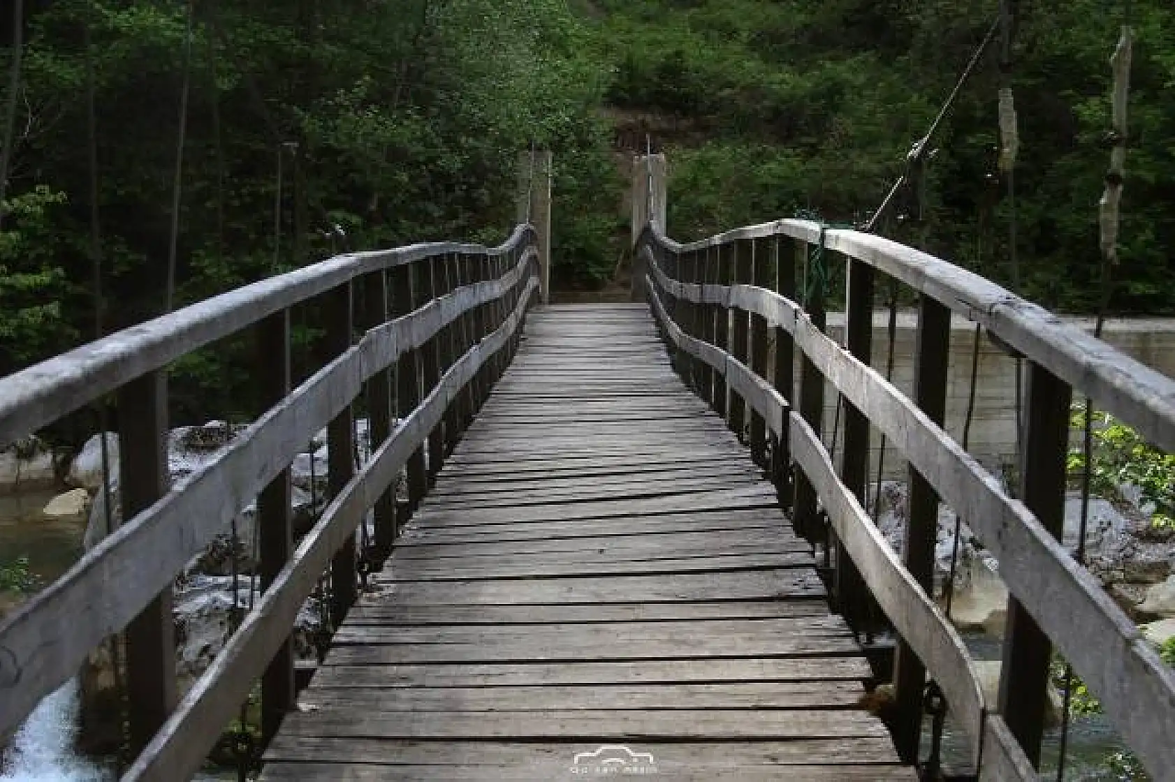 Başkent'ten Küre Dağlarında foto safari