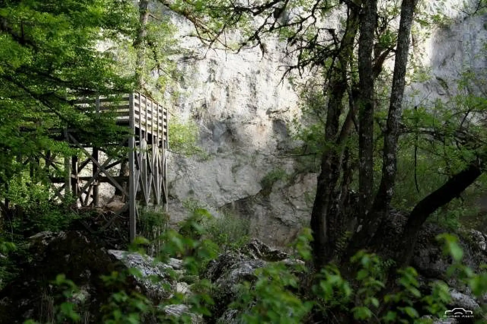 Başkent'ten Küre Dağlarında foto safari