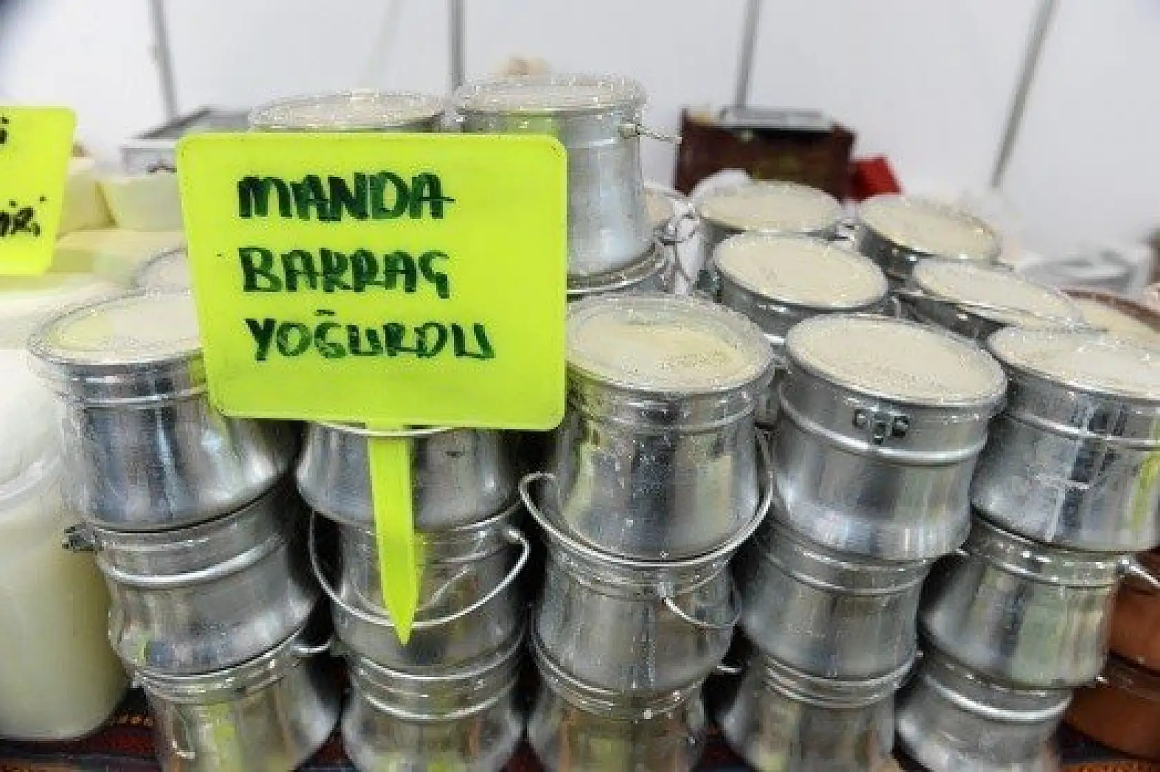 Kastamonu Günleri başladı