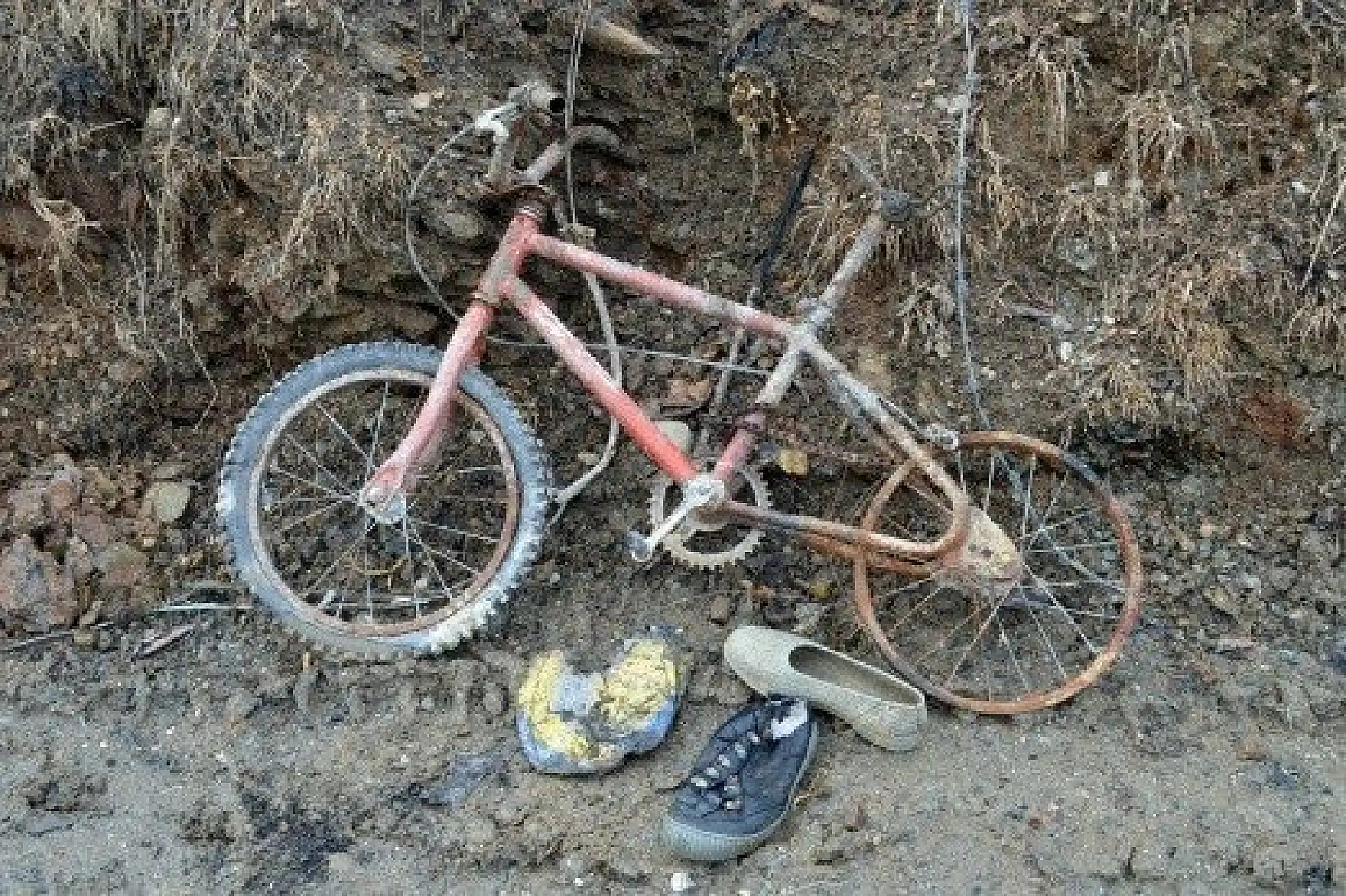 Kastamonu'da yaşanan vahşetin ayrıntıları kan dondurdu