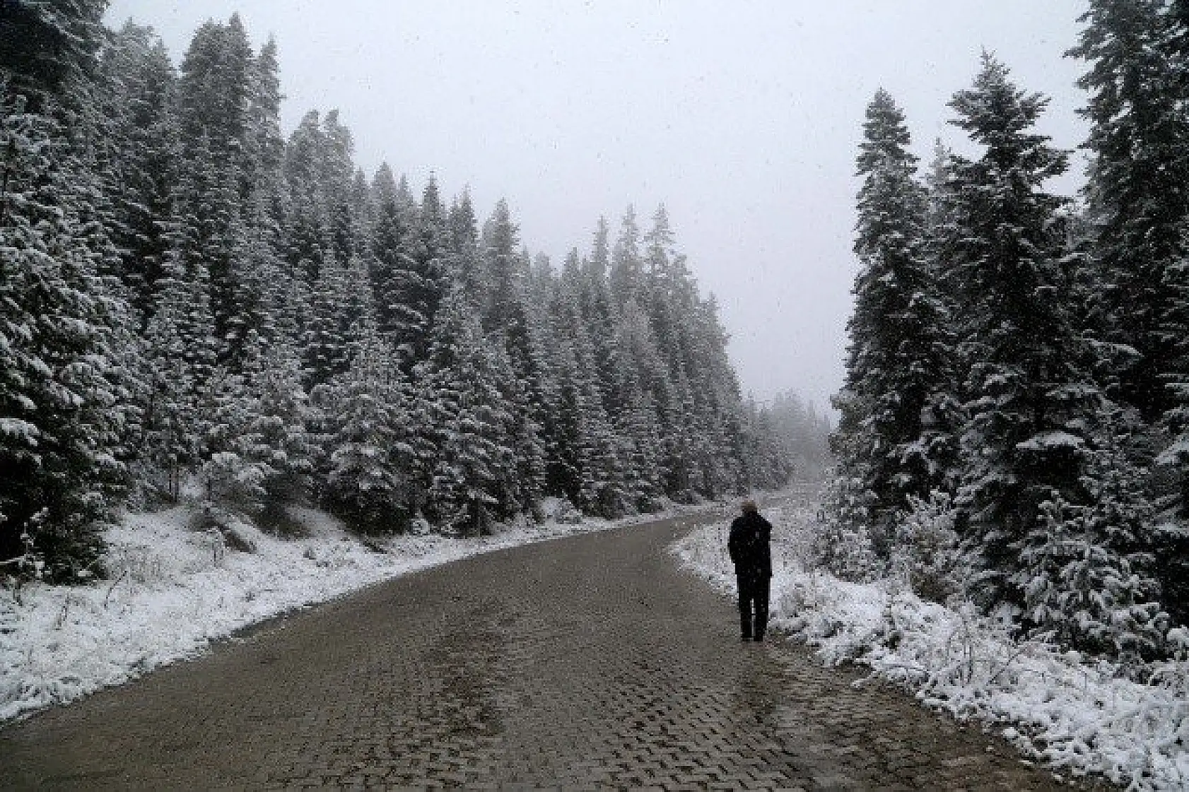 Ilgaz'a mevsimin ilk karı yağdı