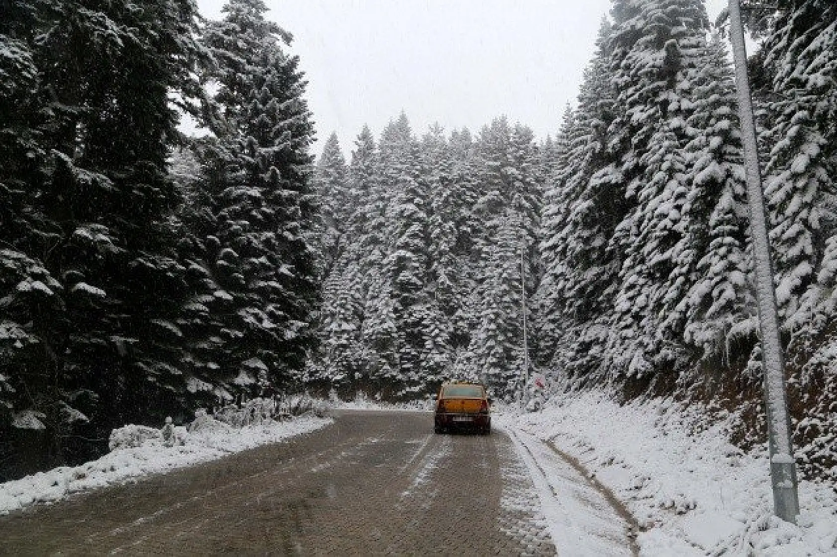 Ilgaz'a mevsimin ilk karı yağdı