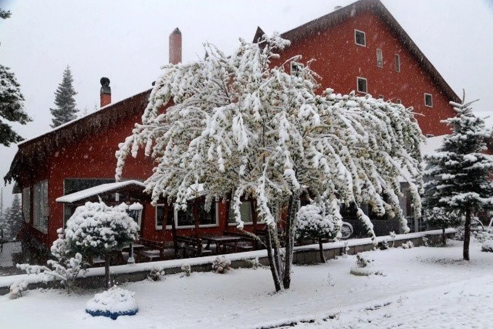 Ilgaz'a mevsimin ilk karı yağdı