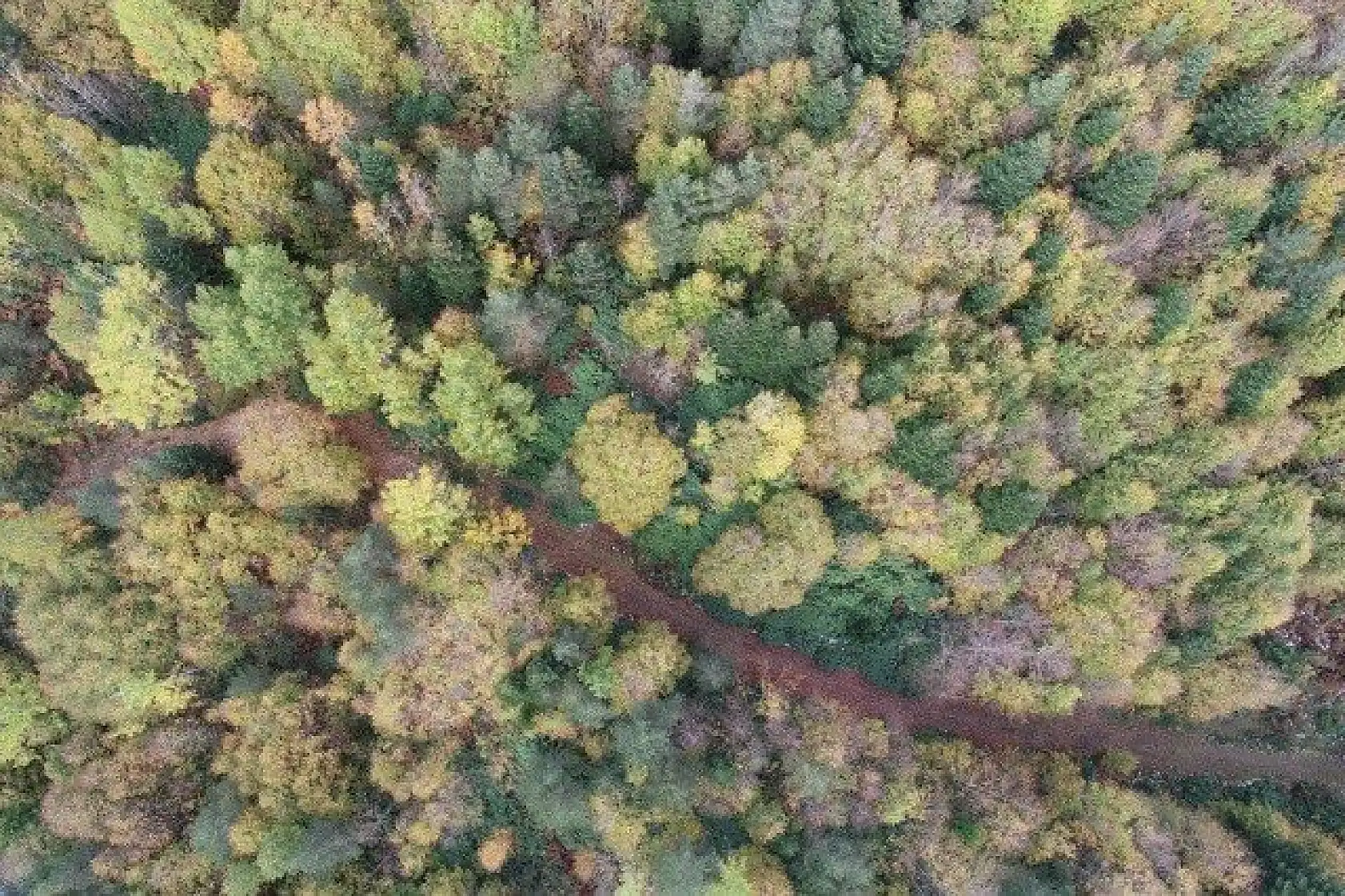 Küre Dağları saklı cennet gibi