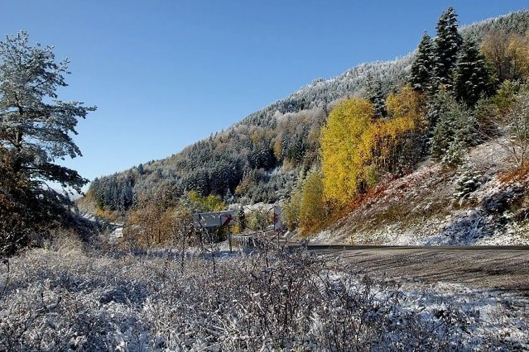 Kastamonu'da sonbaharın renk cümbüşü