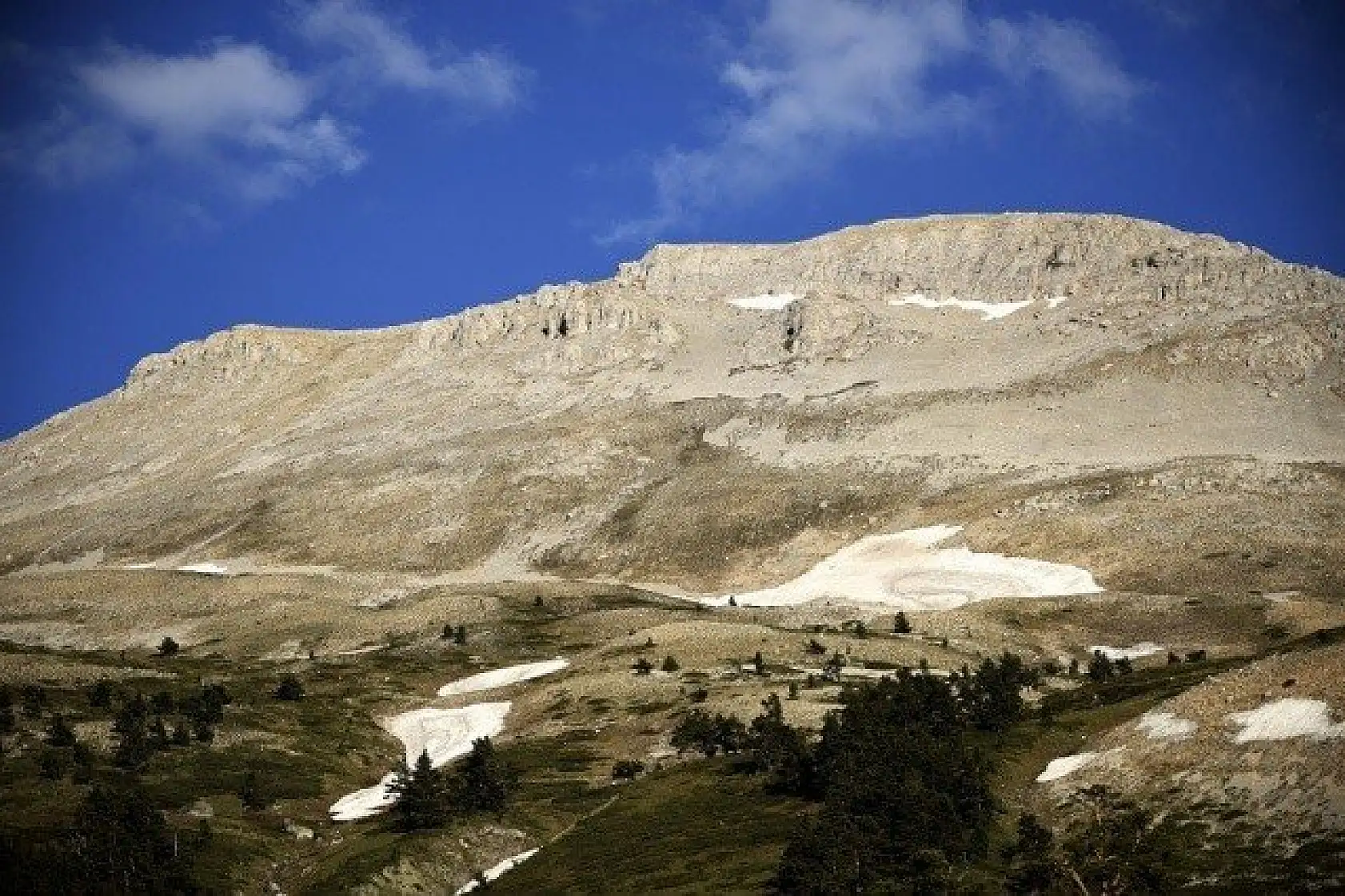 Ilgaz Dağı'nın zirvesinde çiçekler yeni açıyor