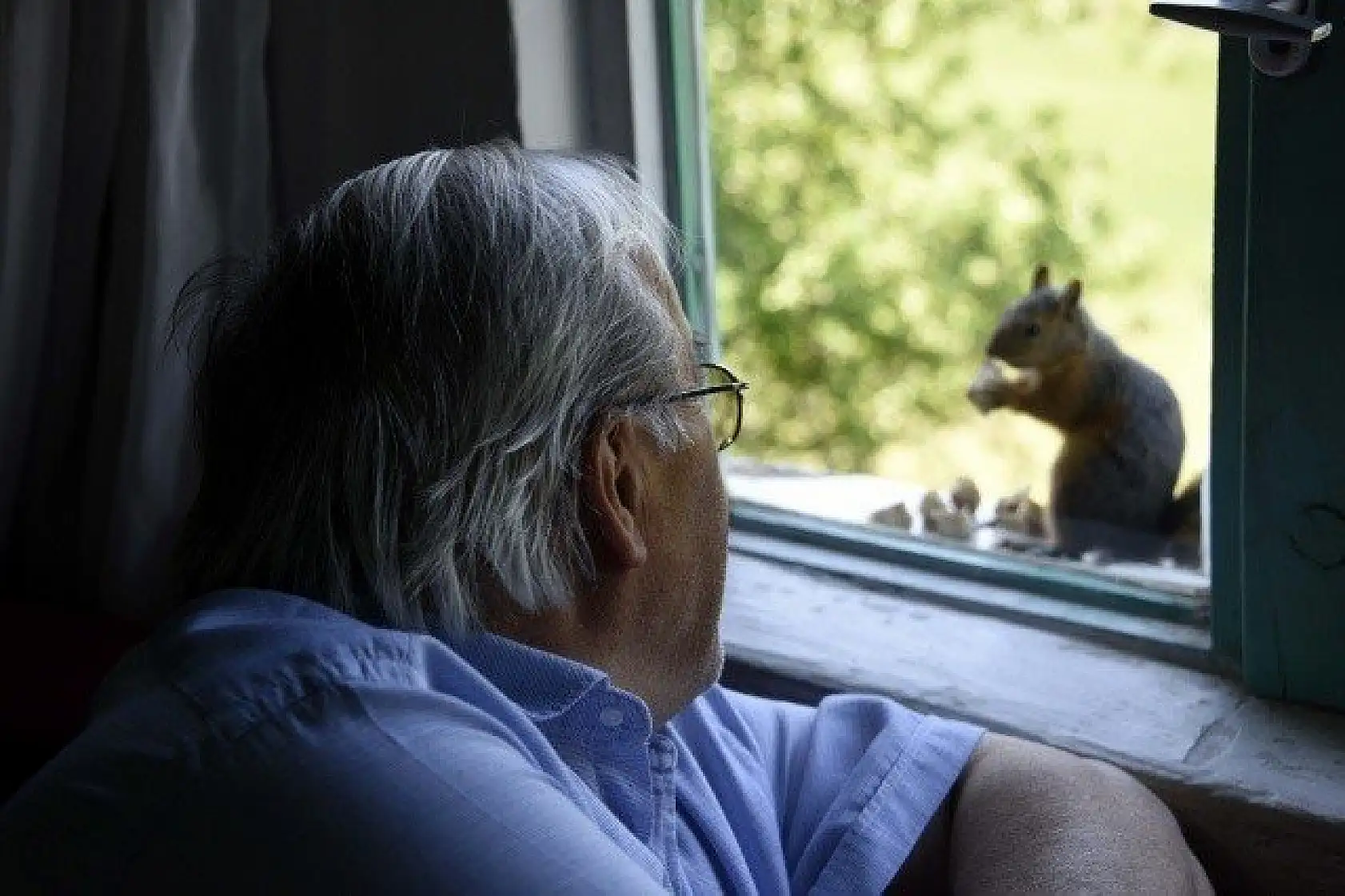 &quotKüçük sevimli misafirleri" evinin penceresinde ağırlıyor