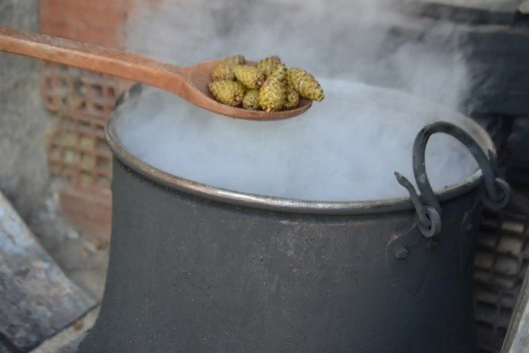 Çam kozalağından üretilen pekmez ilgi görüyor