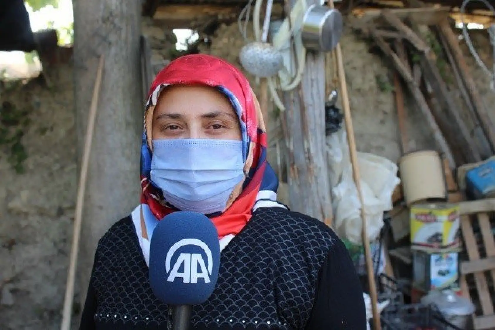 Çam kozalağından üretilen pekmez ilgi görüyor