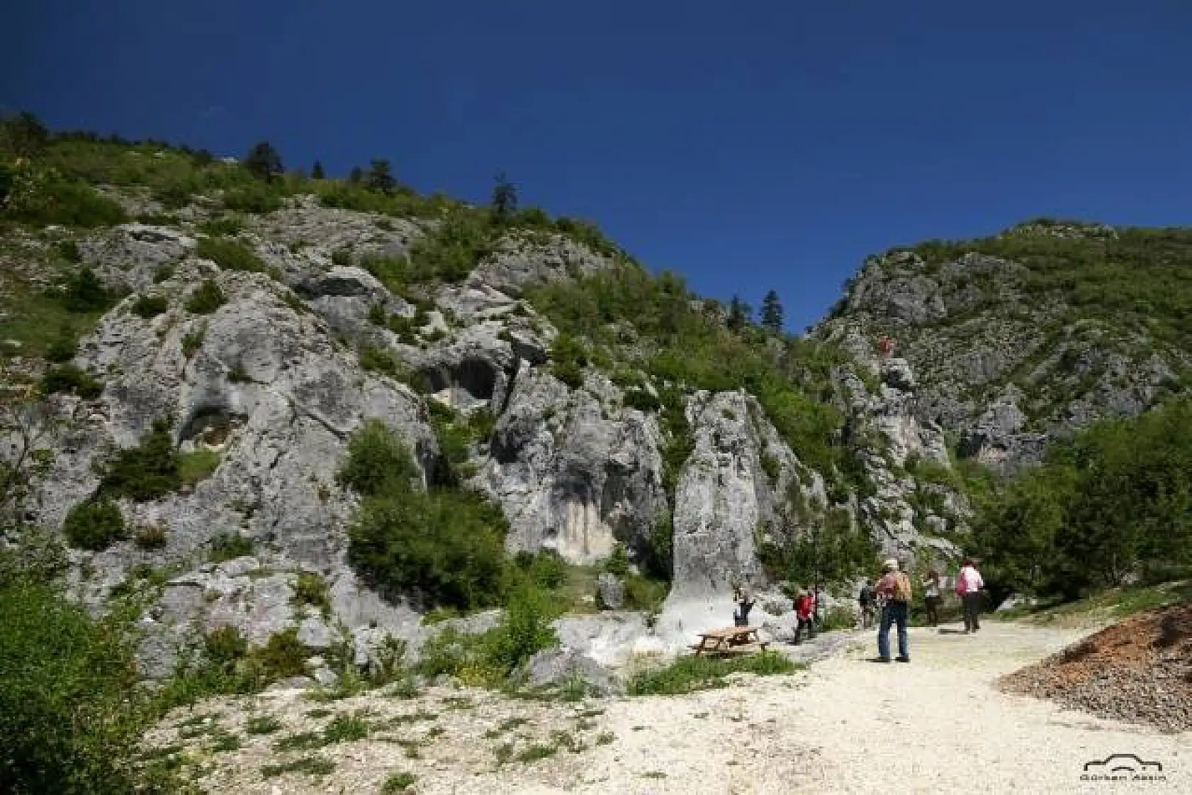 Başkent'ten Küre Dağlarında foto safari