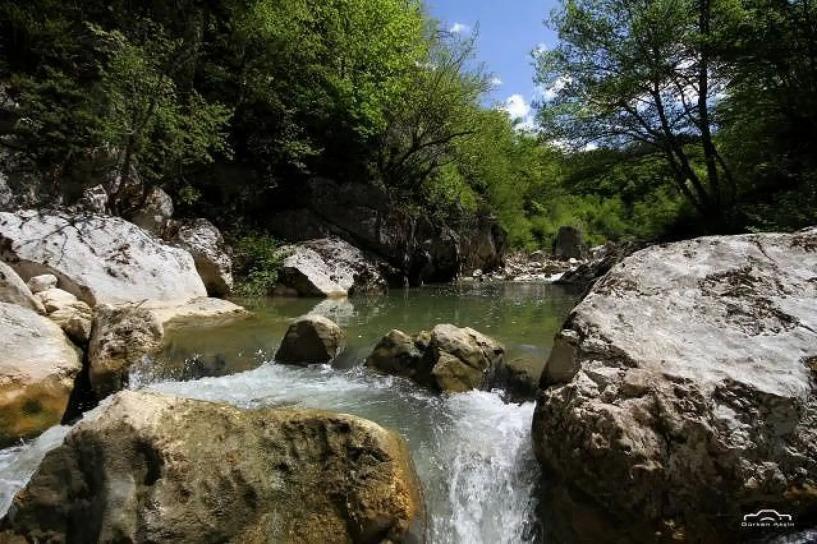 Başkent'ten Küre Dağlarında foto safari