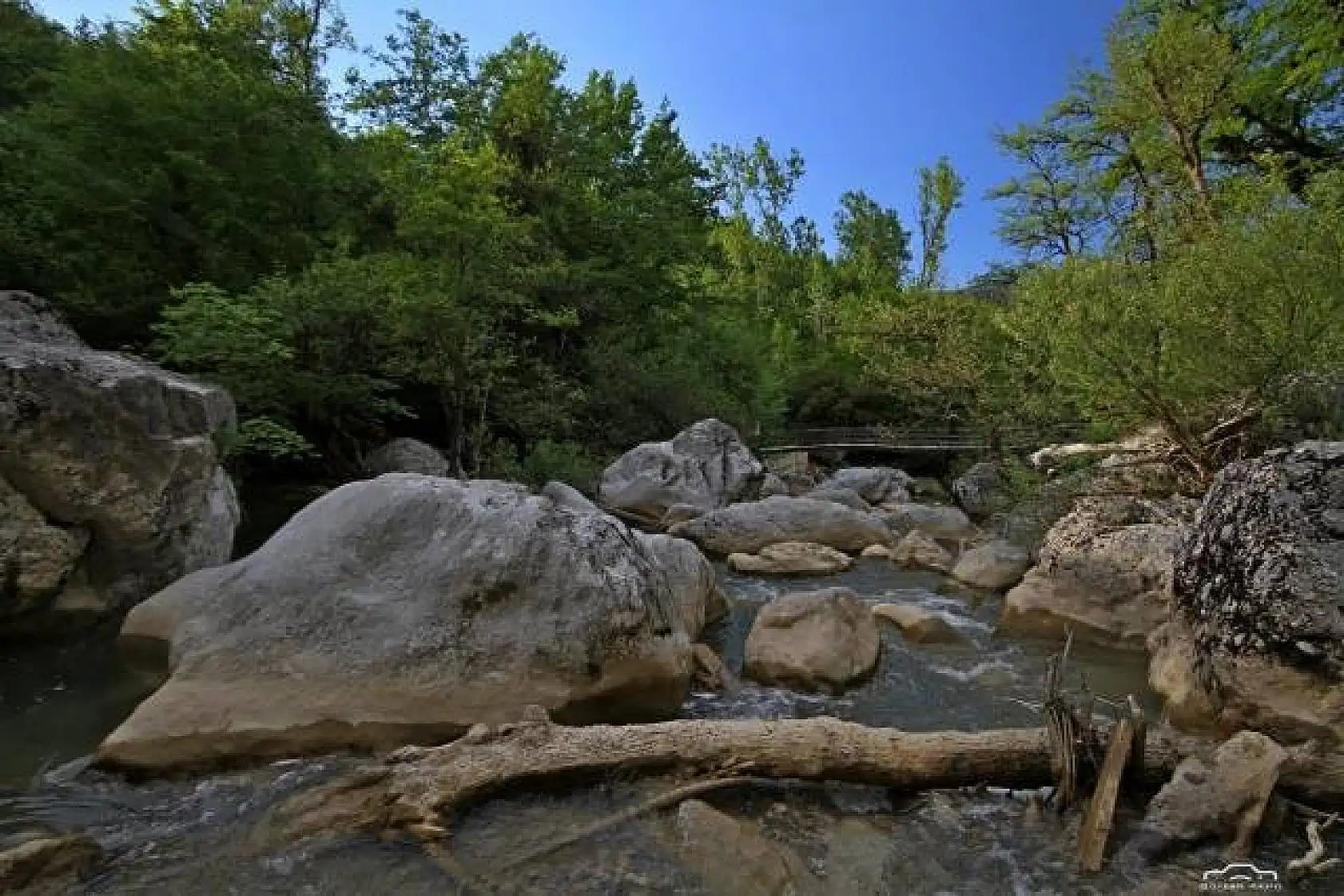 Başkent'ten Küre Dağlarında foto safari