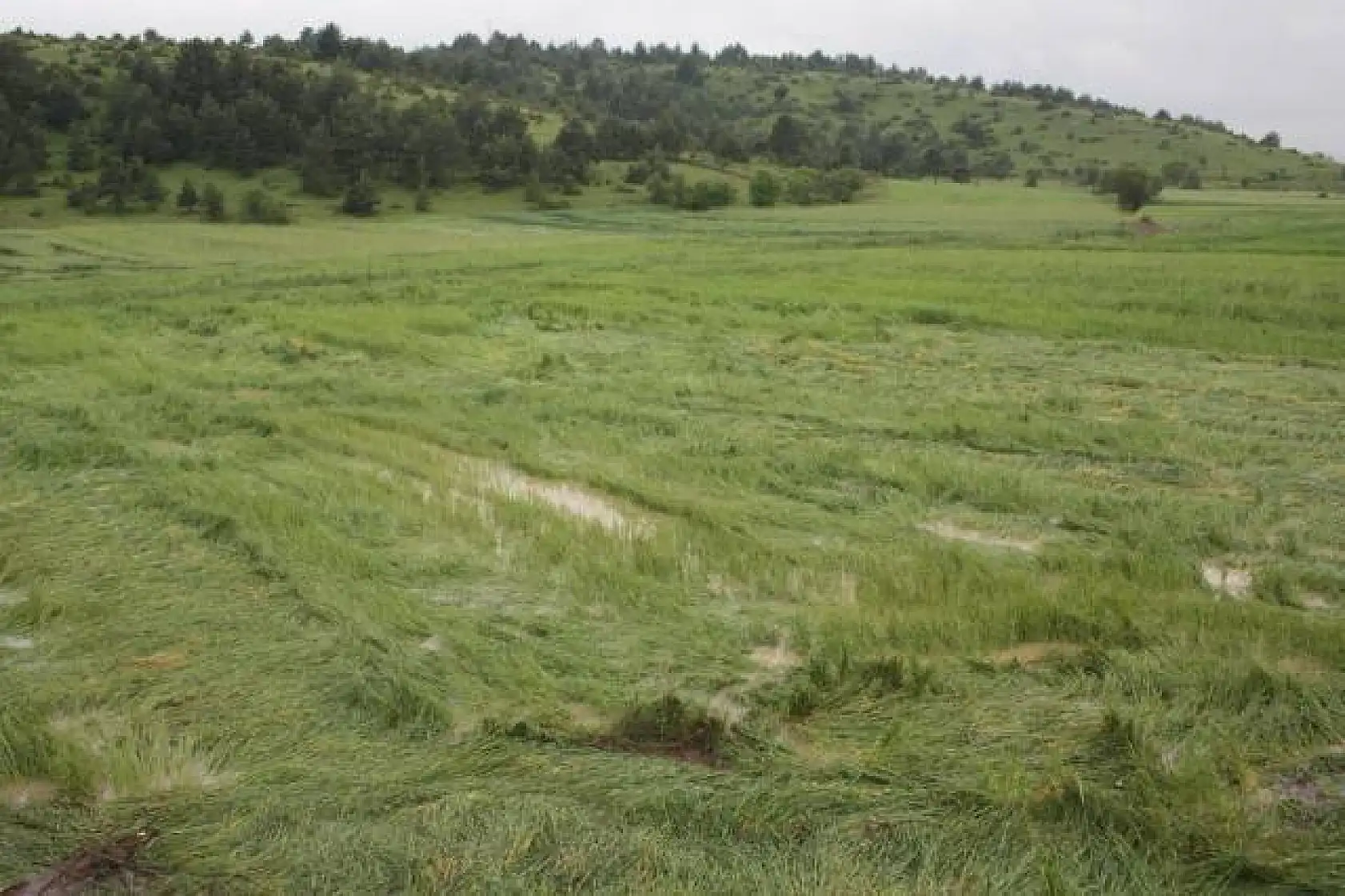 Kastamonu sele teslim