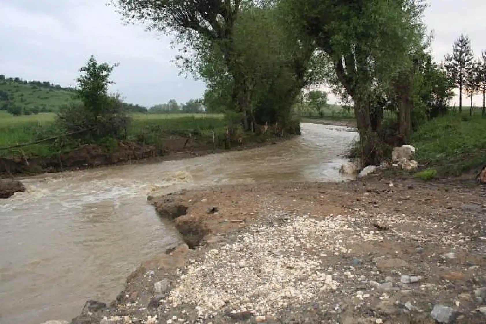 Kastamonu sele teslim