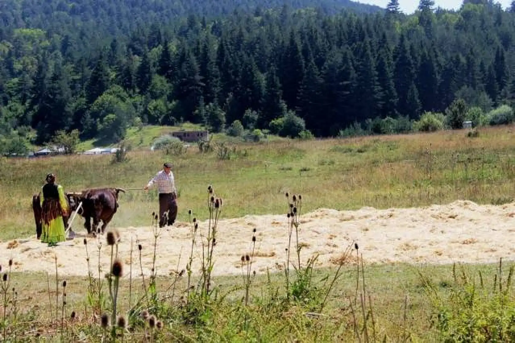 Kastamonu Macera Sporları Festivali