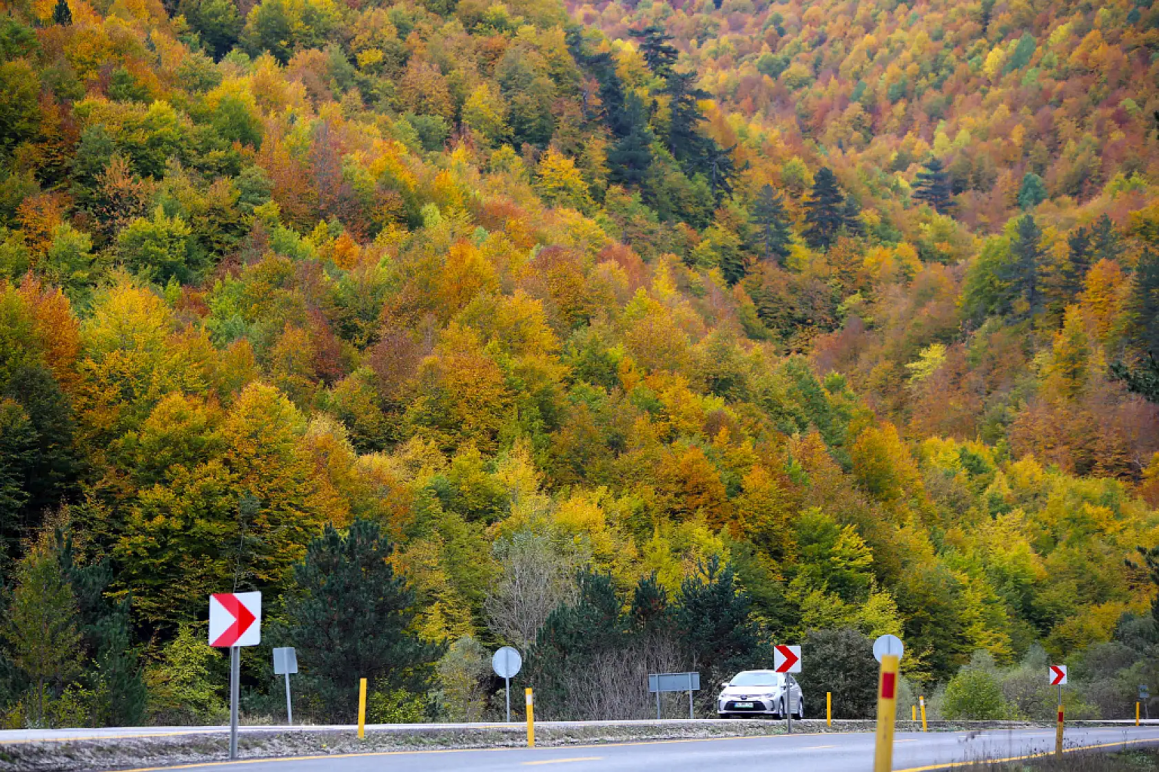 Ilgaz Dağı'nda farklı renk tonları