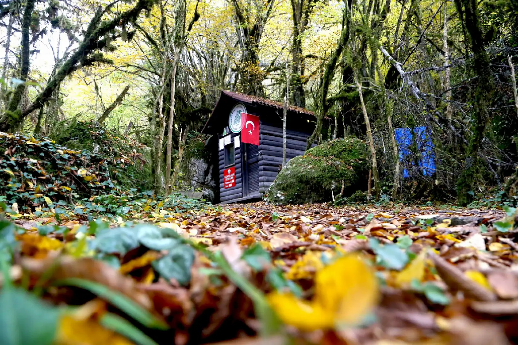 Horma Kanyonu ve Ilıca Şelalesinde sonbahar renkleri