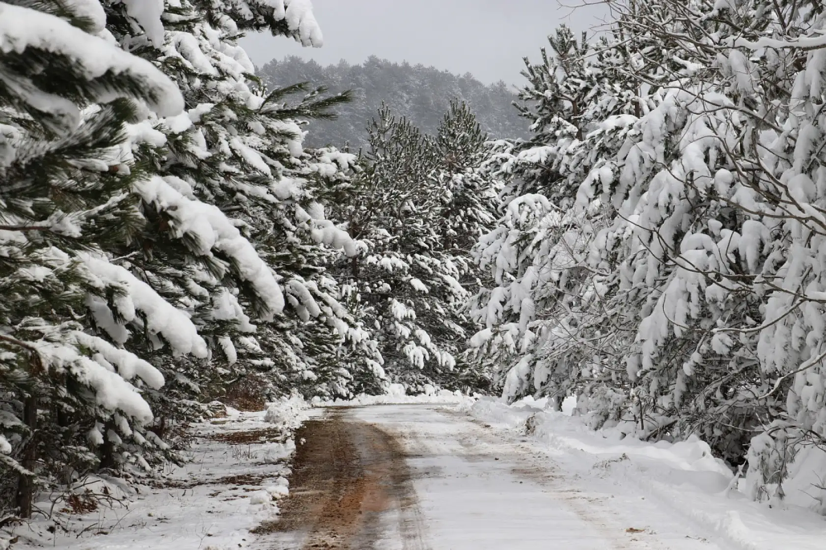 Karla kaplı ormanlar havadan görüntülendi