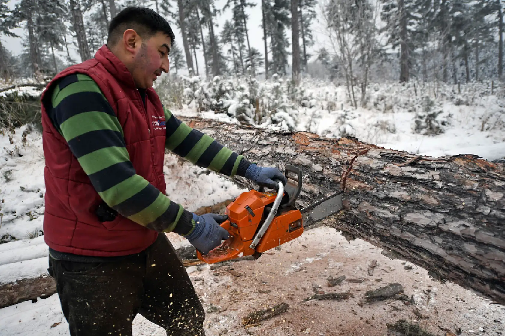 Zorlu şartlarda ekmeklerini ormandan çıkarıyorlar