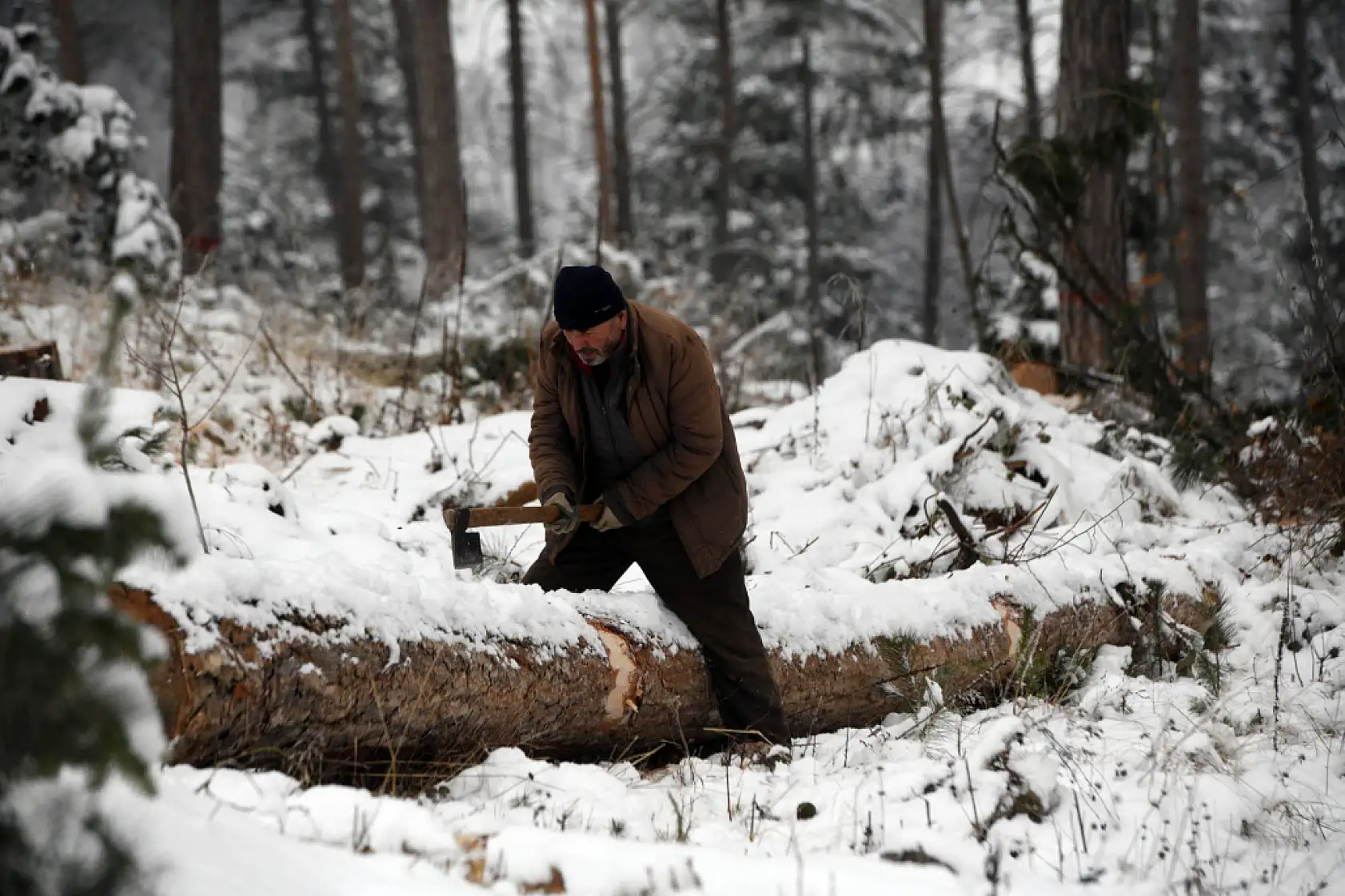 Zorlu şartlarda ekmeklerini ormandan çıkarıyorlar