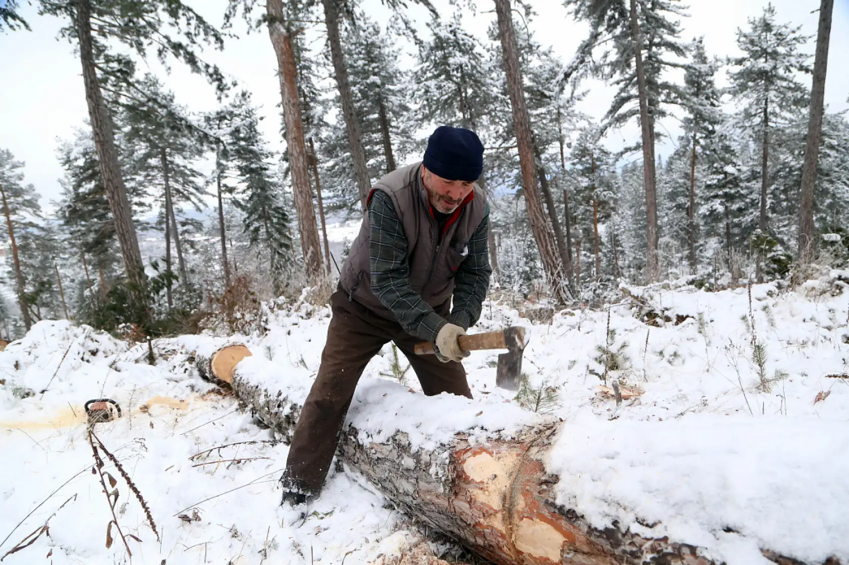 Zorlu şartlarda ekmeklerini ormandan çıkarıyorlar