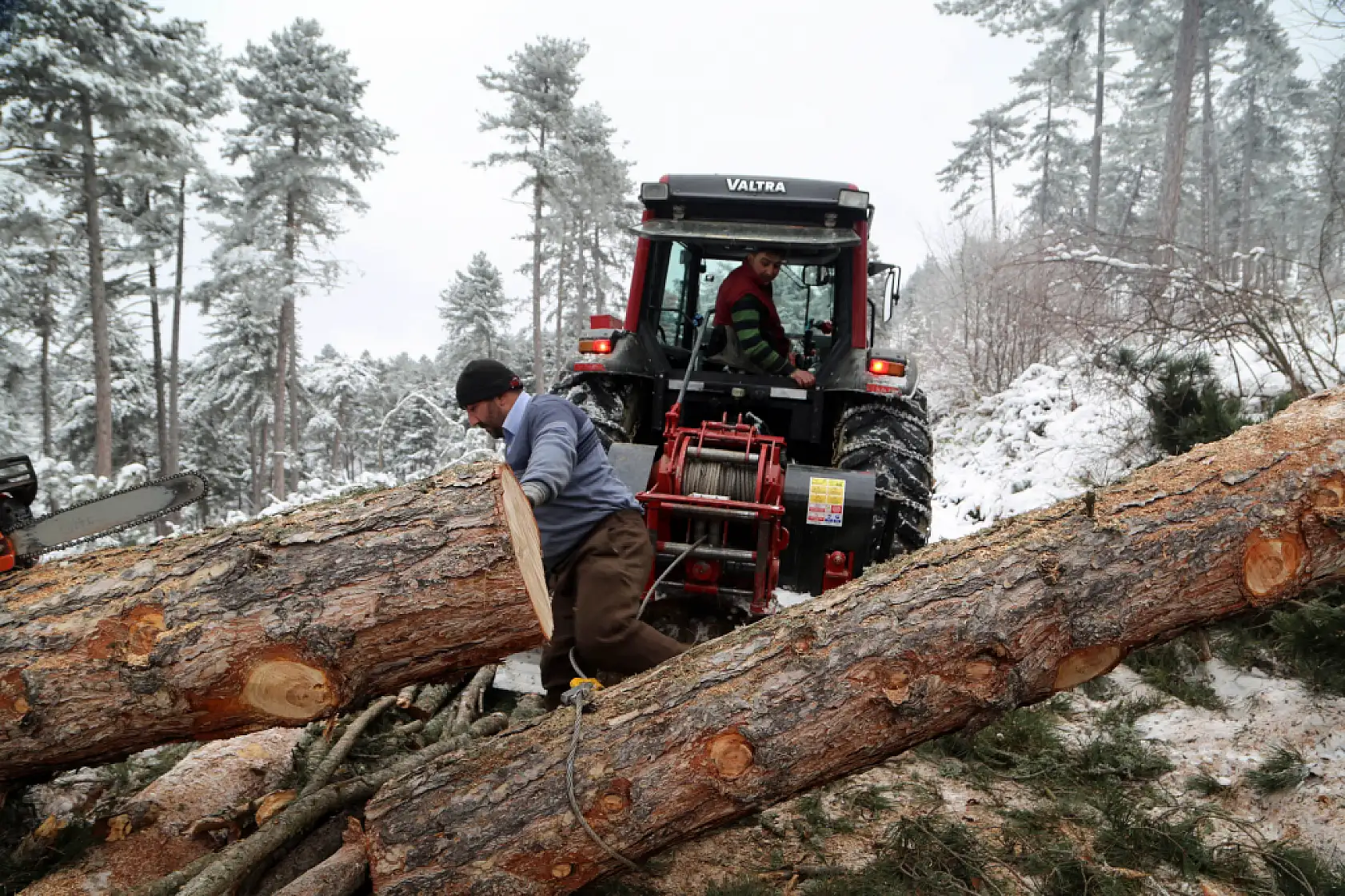 Zorlu şartlarda ekmeklerini ormandan çıkarıyorlar