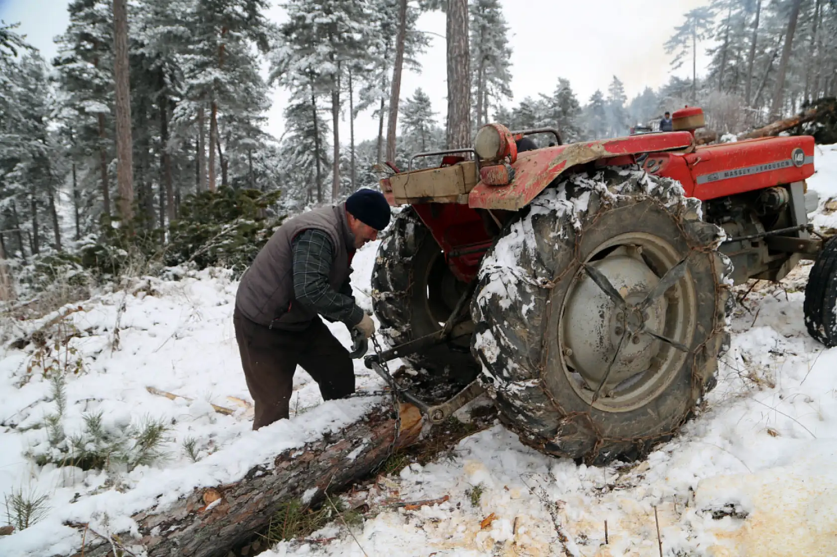 Zorlu şartlarda ekmeklerini ormandan çıkarıyorlar