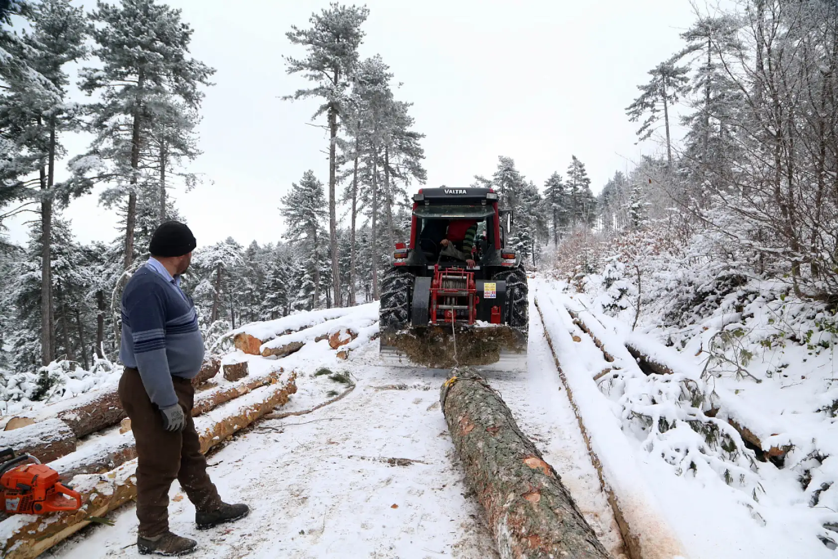 Zorlu şartlarda ekmeklerini ormandan çıkarıyorlar