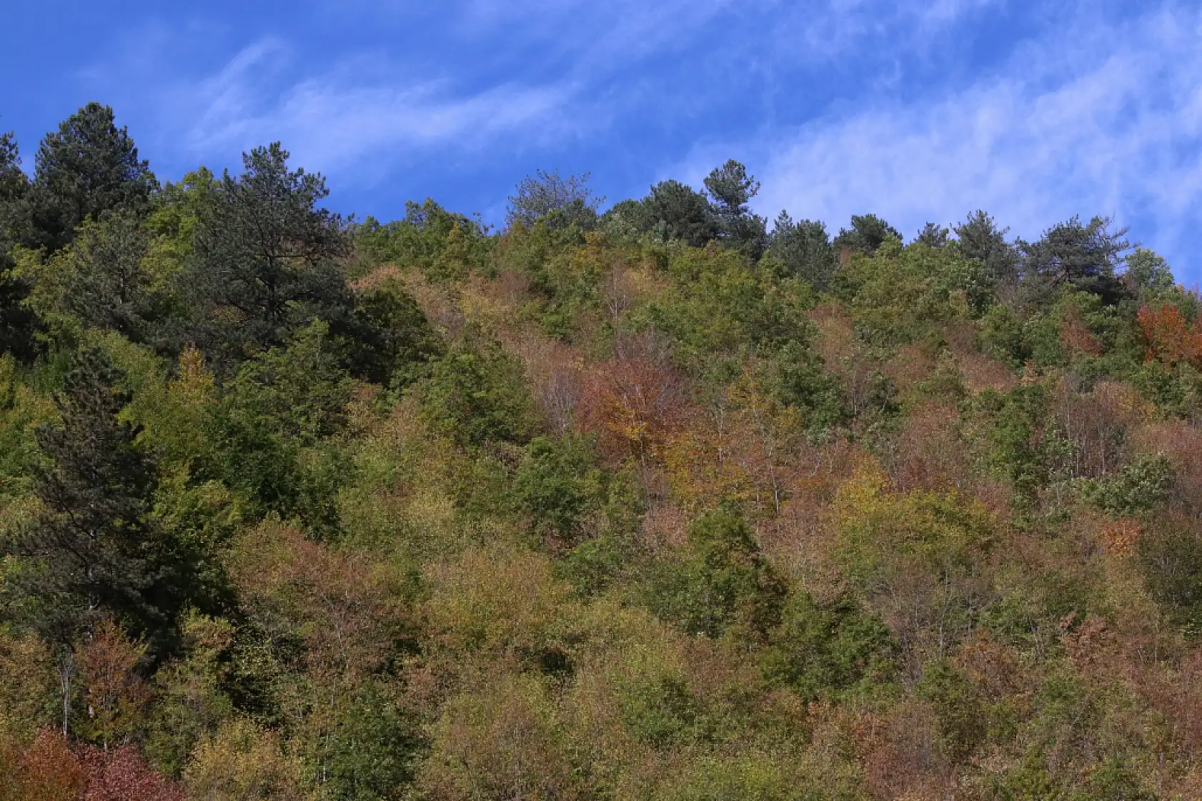 Ilgaz Dağı'nda sonbahar renkleri
