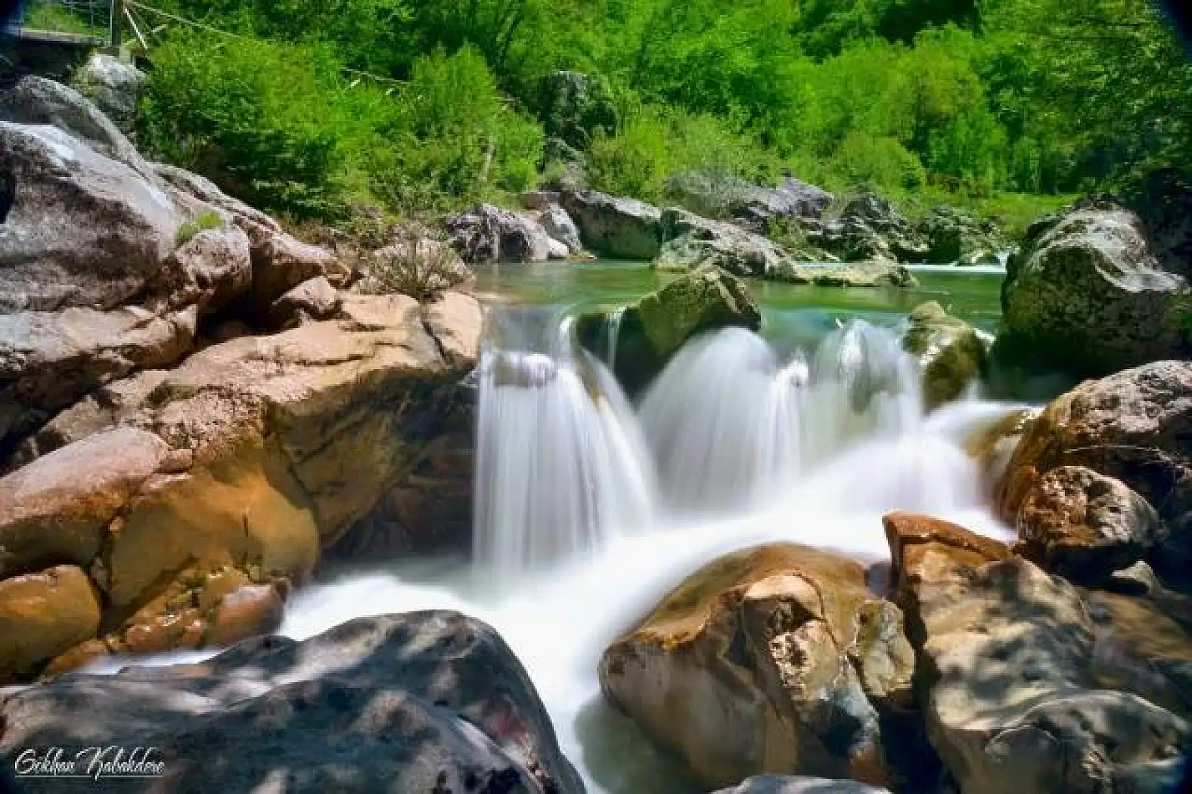 Başkent'ten Küre Dağlarında foto safari