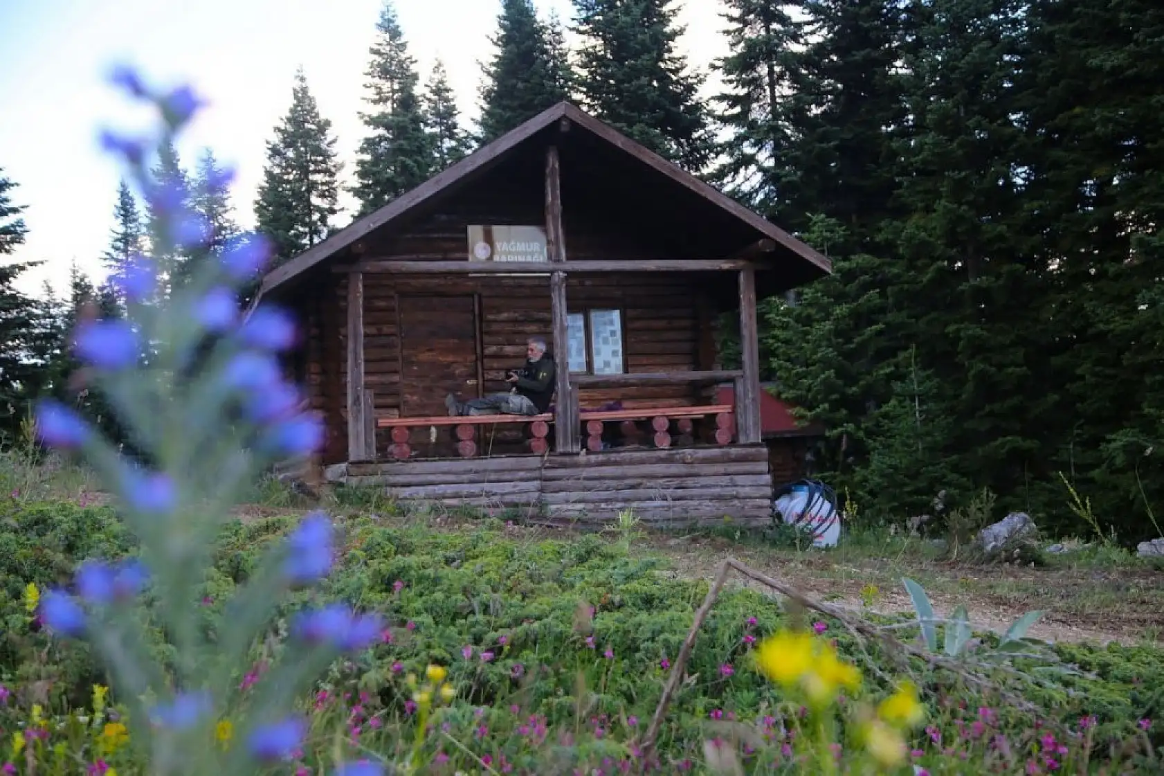 Ilgaz Dağı ağustosta ilkbaharı yaşıyor